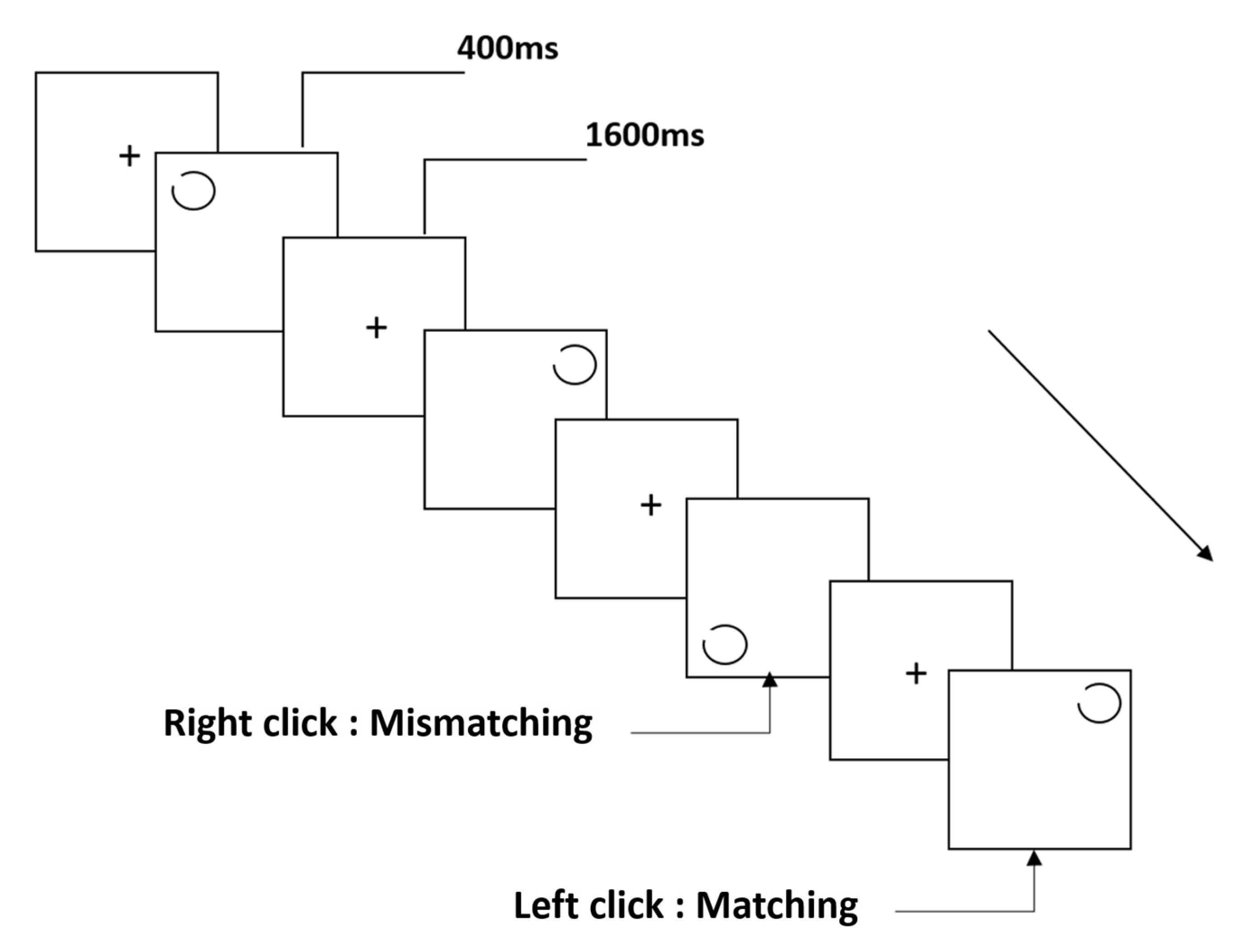 Brainsci 12 01607 g001