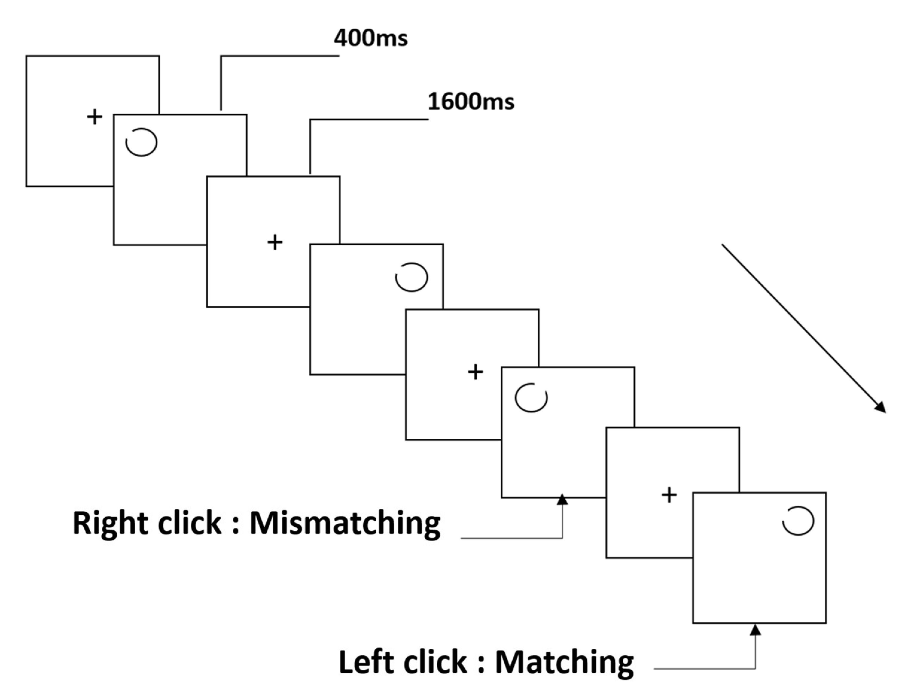 Brainsci 12 01607 g002