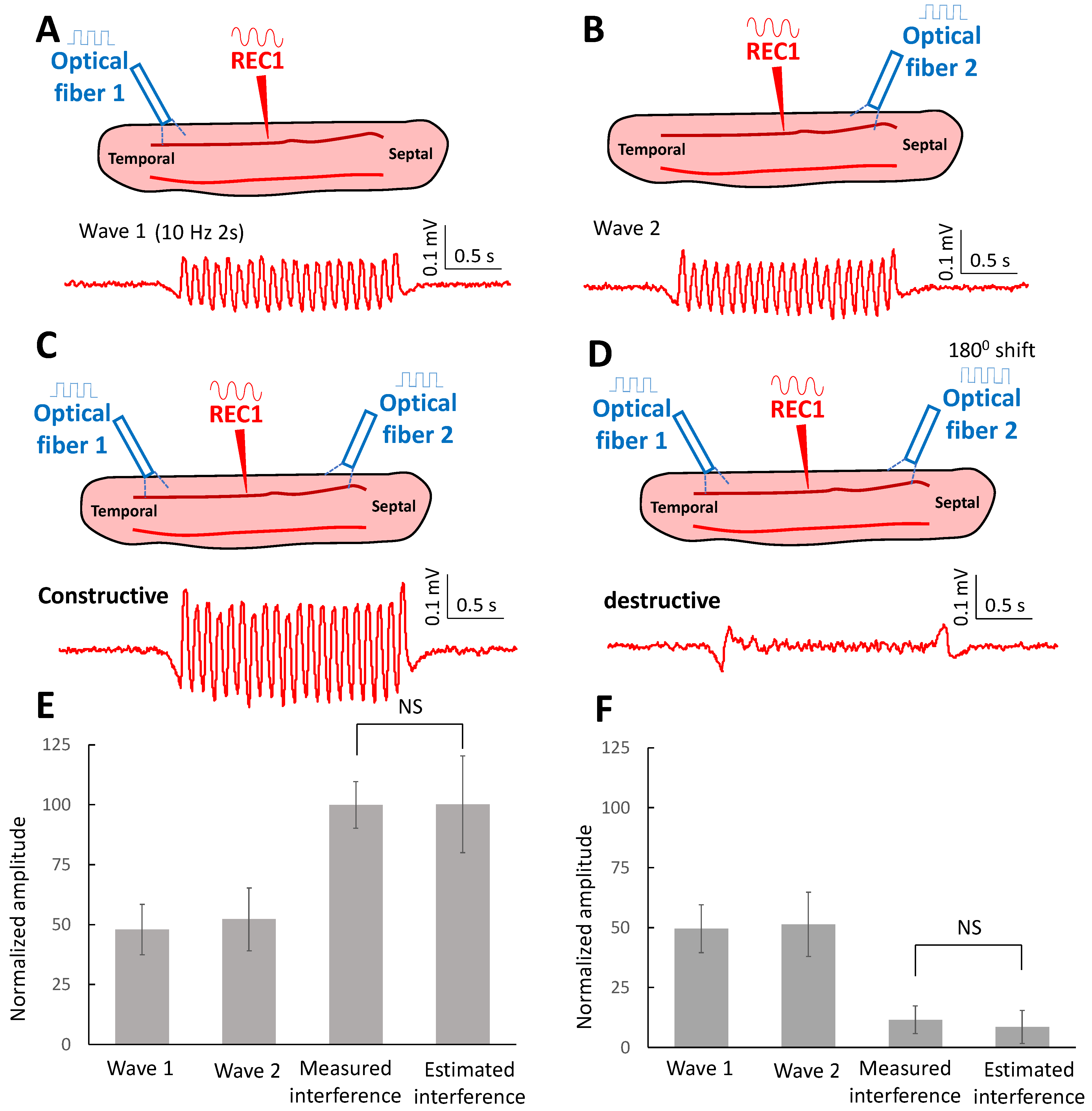 Brainsci 13 00074 g005