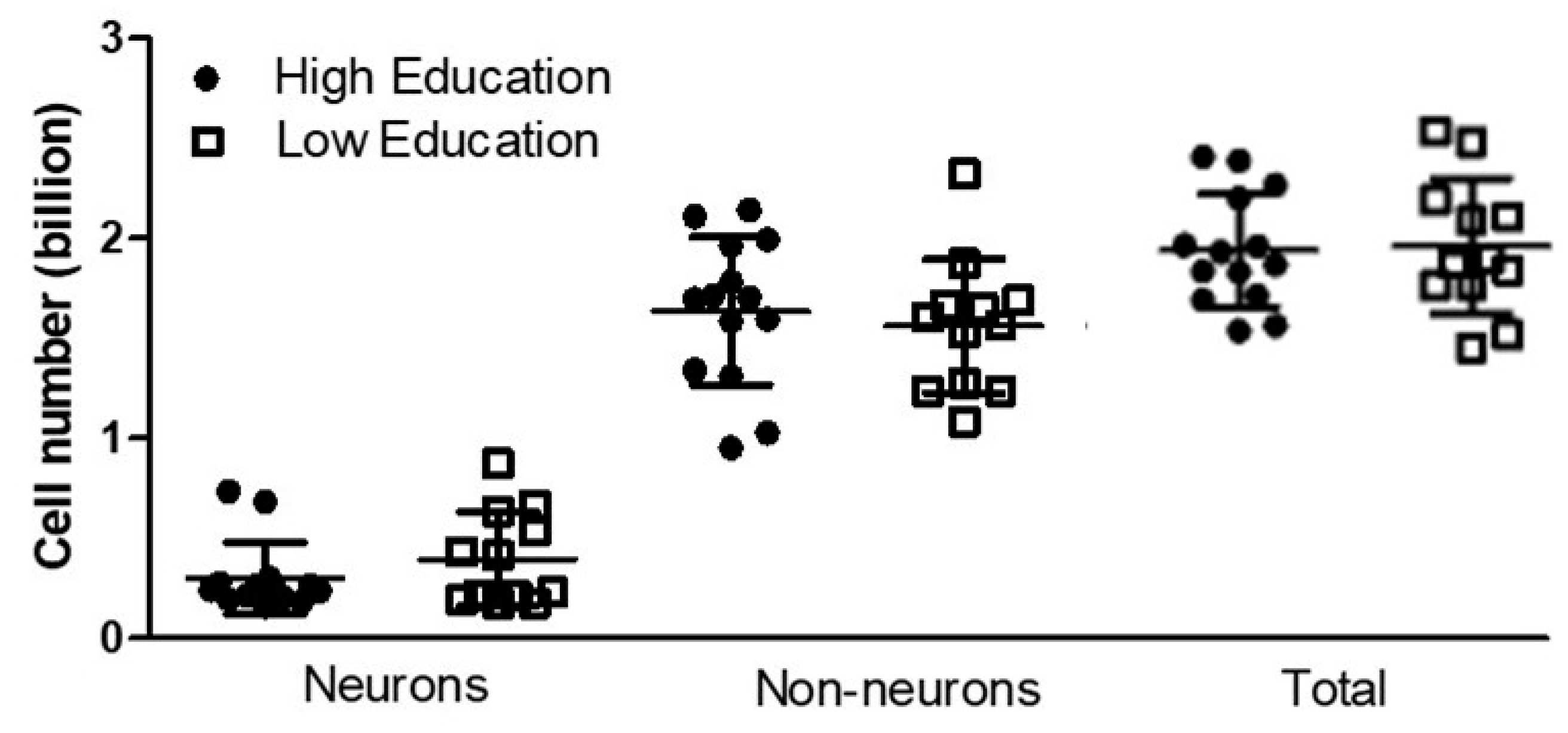 Brainsci 13 00104 g002 Brainsci 13 00104 g002