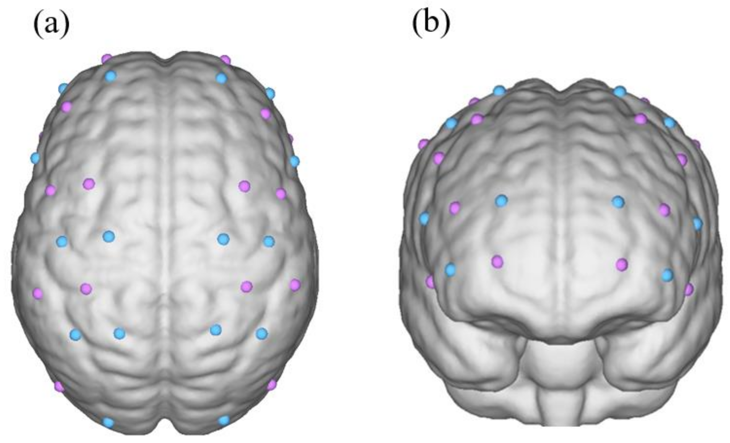 Brainsci 13 00141 g001