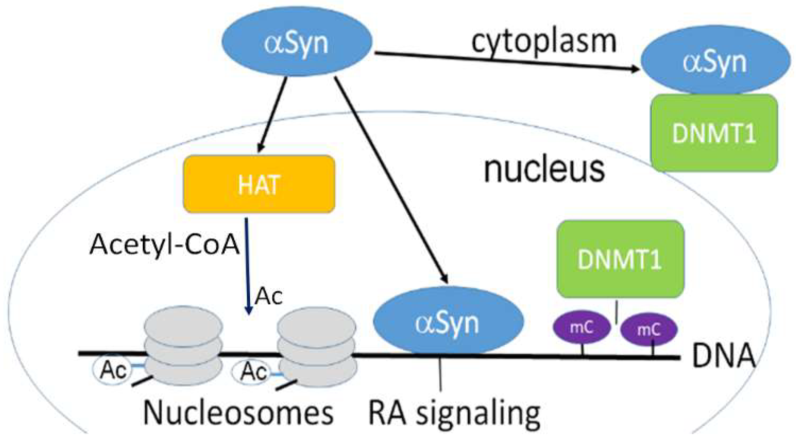 Brainsci 13 00150 g001 Brainsci 13 00150 g001