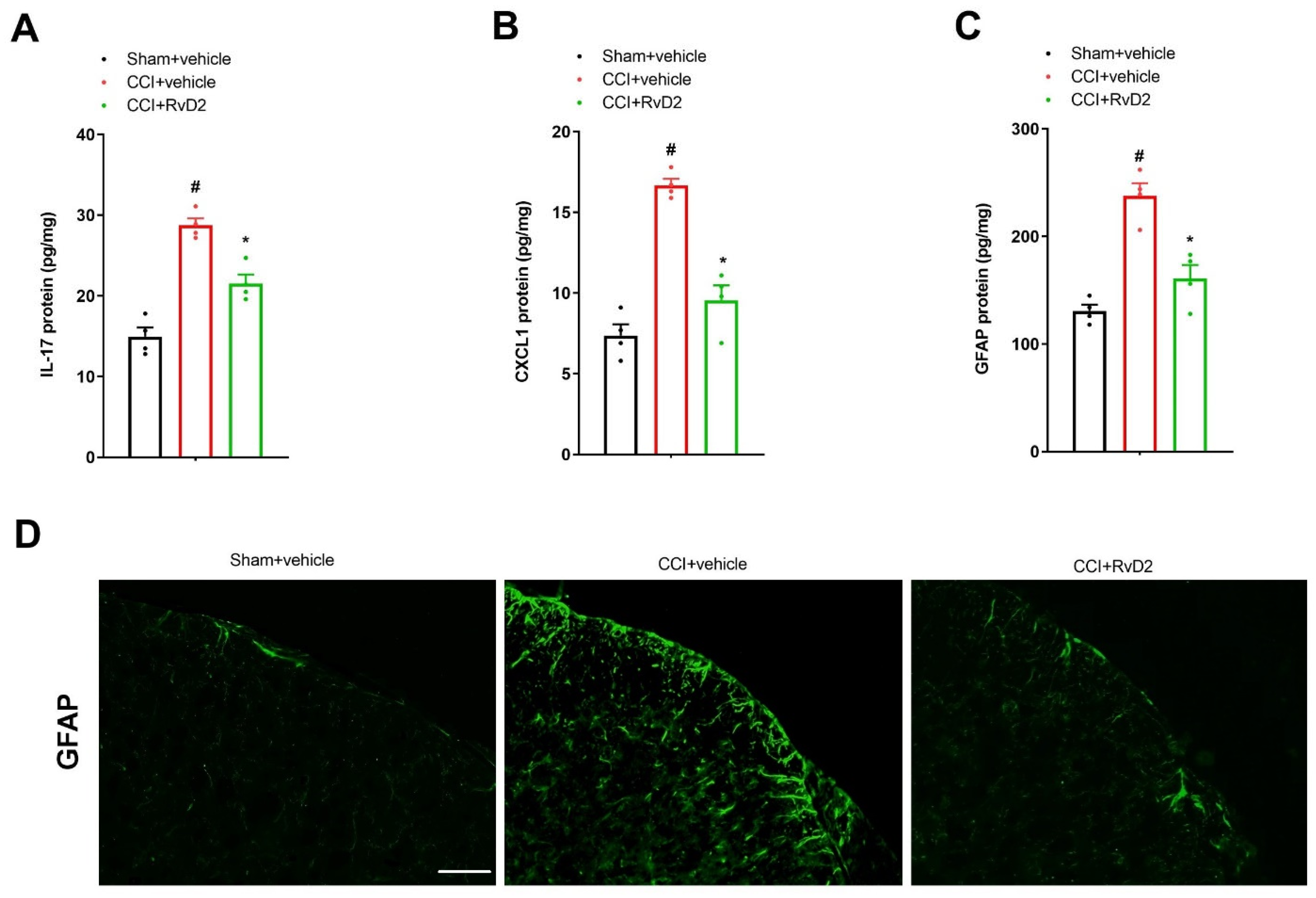 Brainsci 13 00152 g002 Brainsci 13 00152 g002