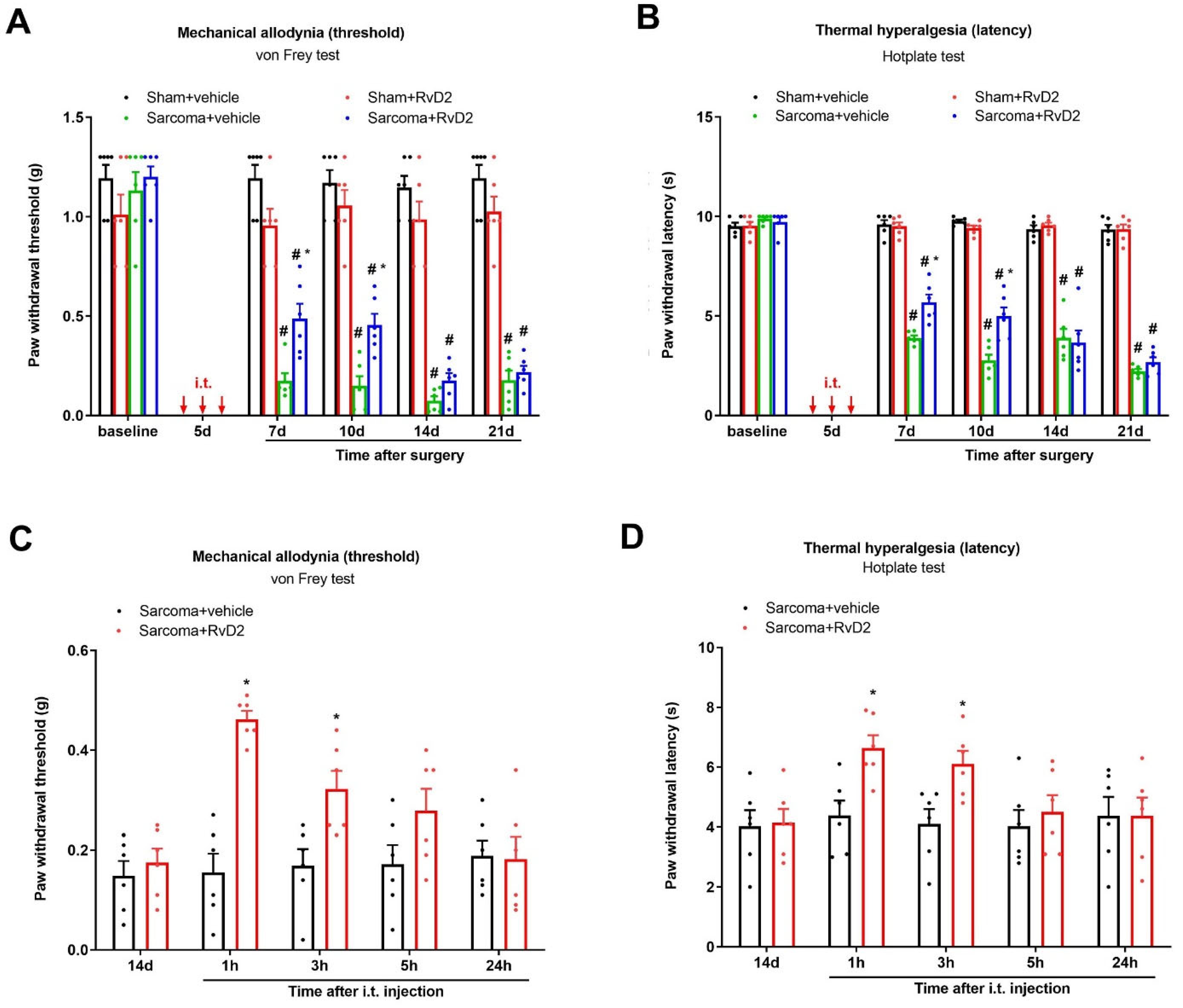 Brainsci 13 00152 g003 Brainsci 13 00152 g003