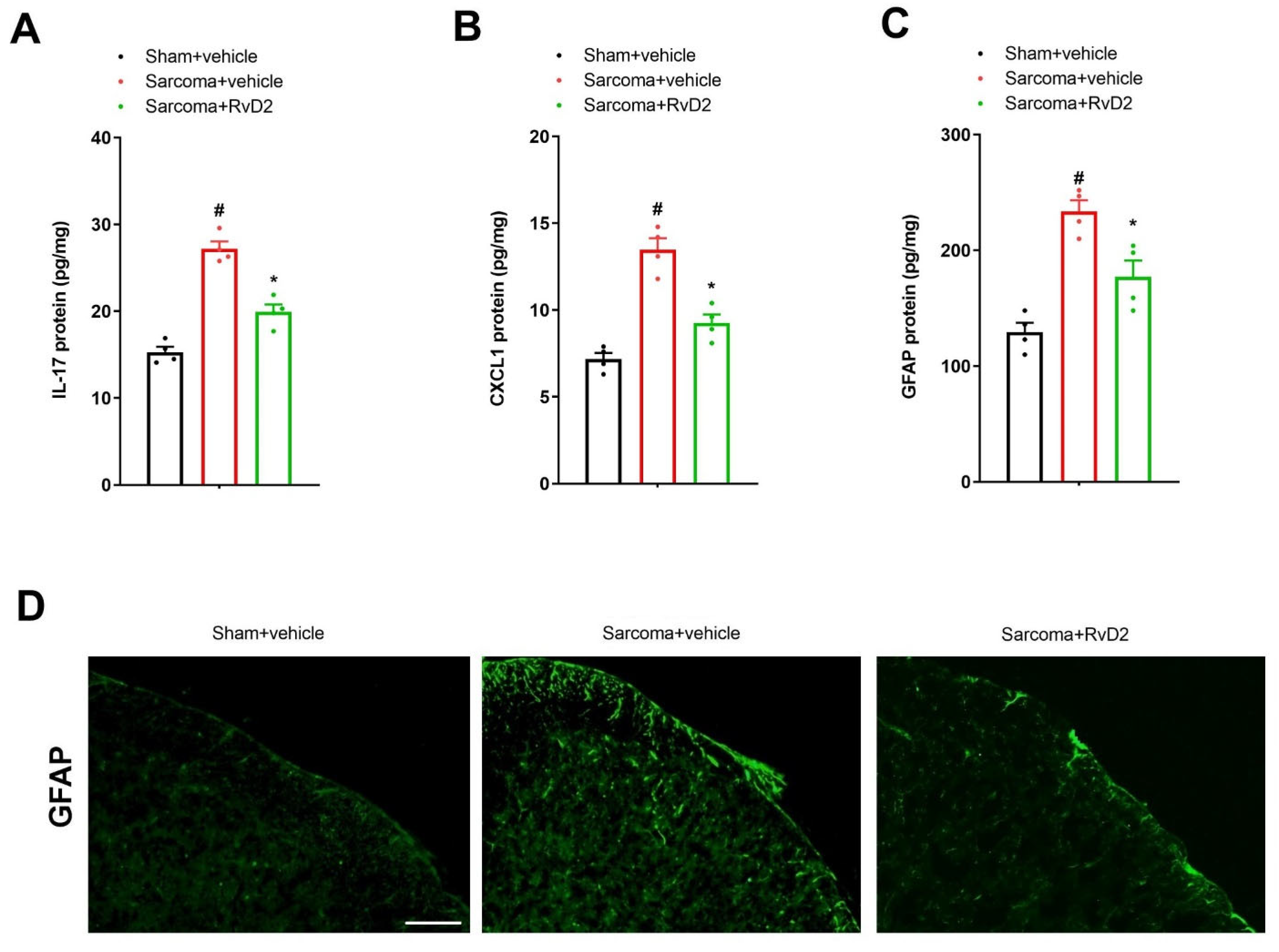 Brainsci 13 00152 g004 Brainsci 13 00152 g004