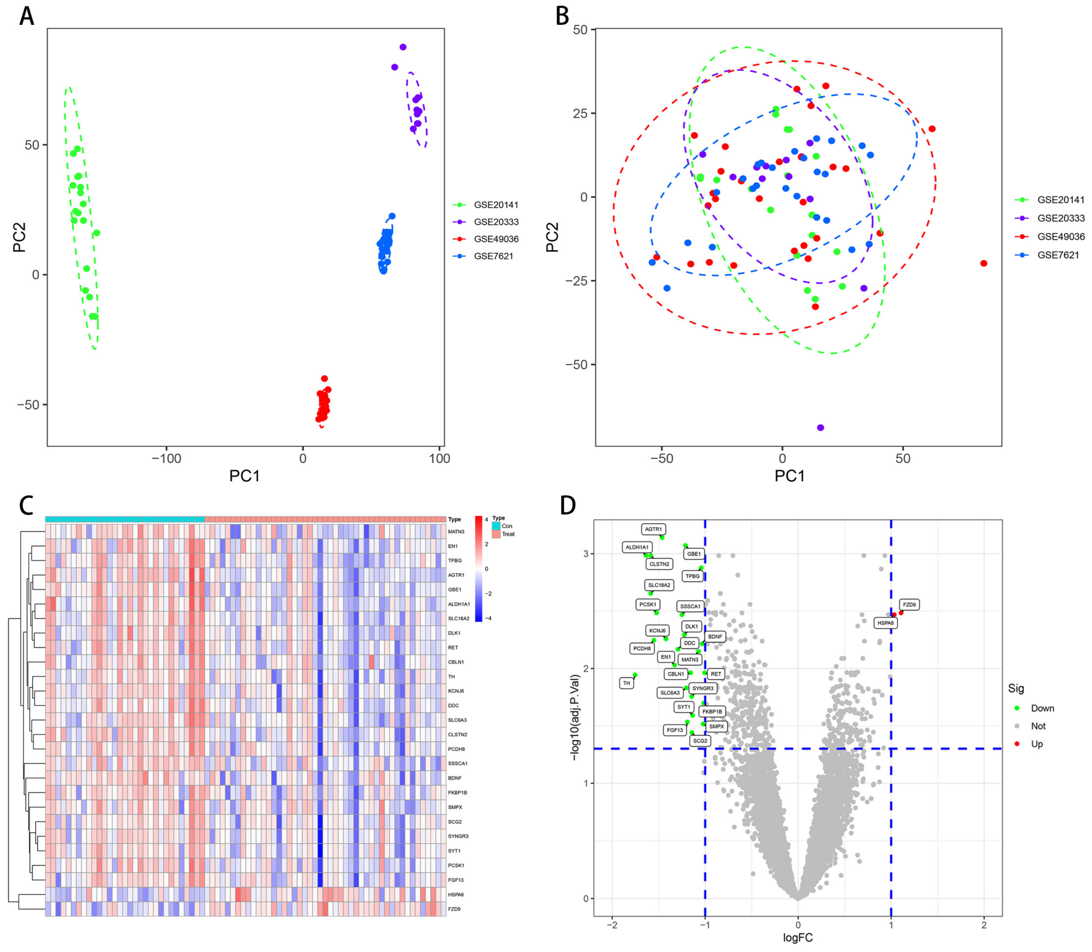 Brainsci 13 00175 g002 Brainsci 13 00175 g002