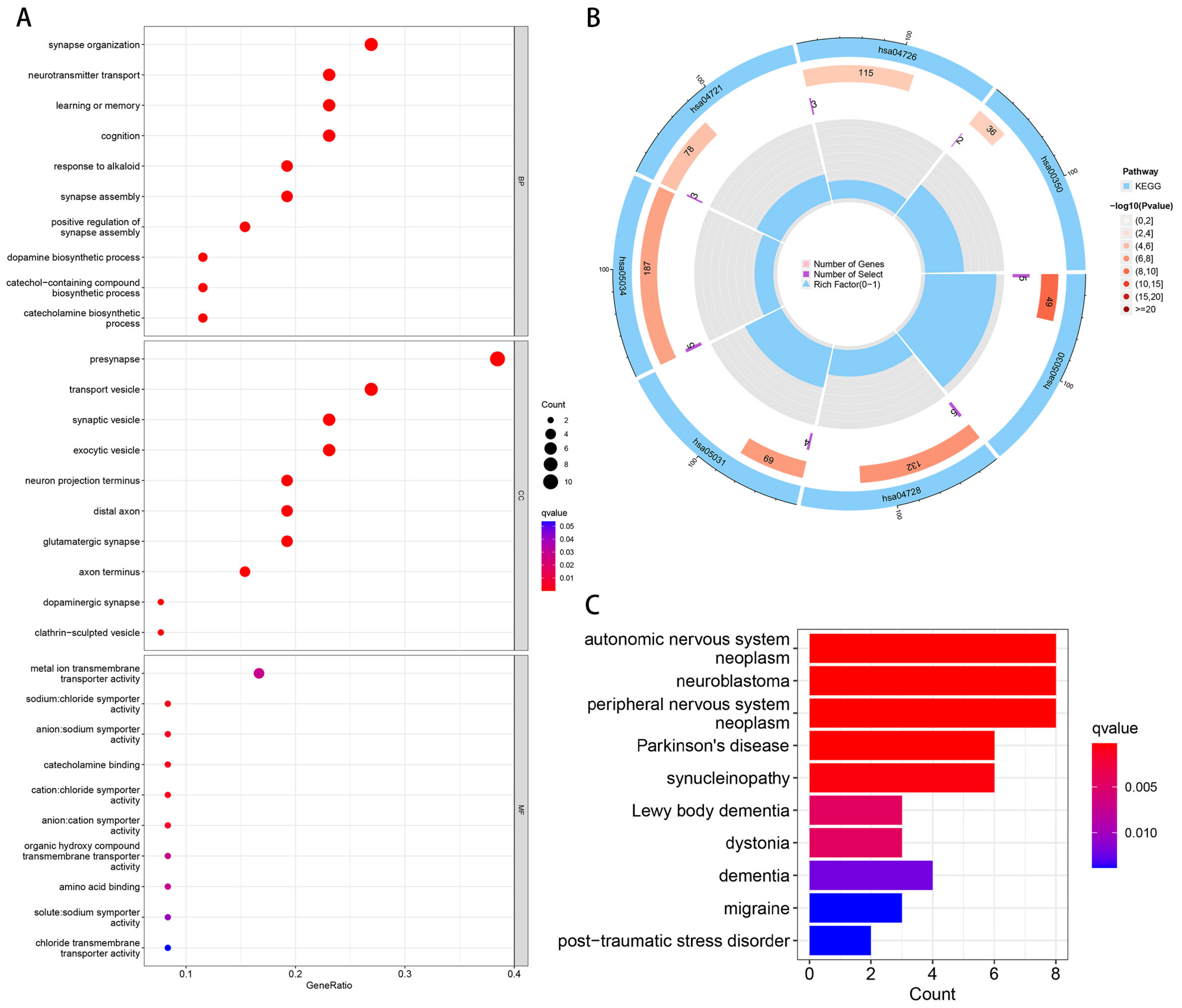 Brainsci 13 00175 g003 Brainsci 13 00175 g003