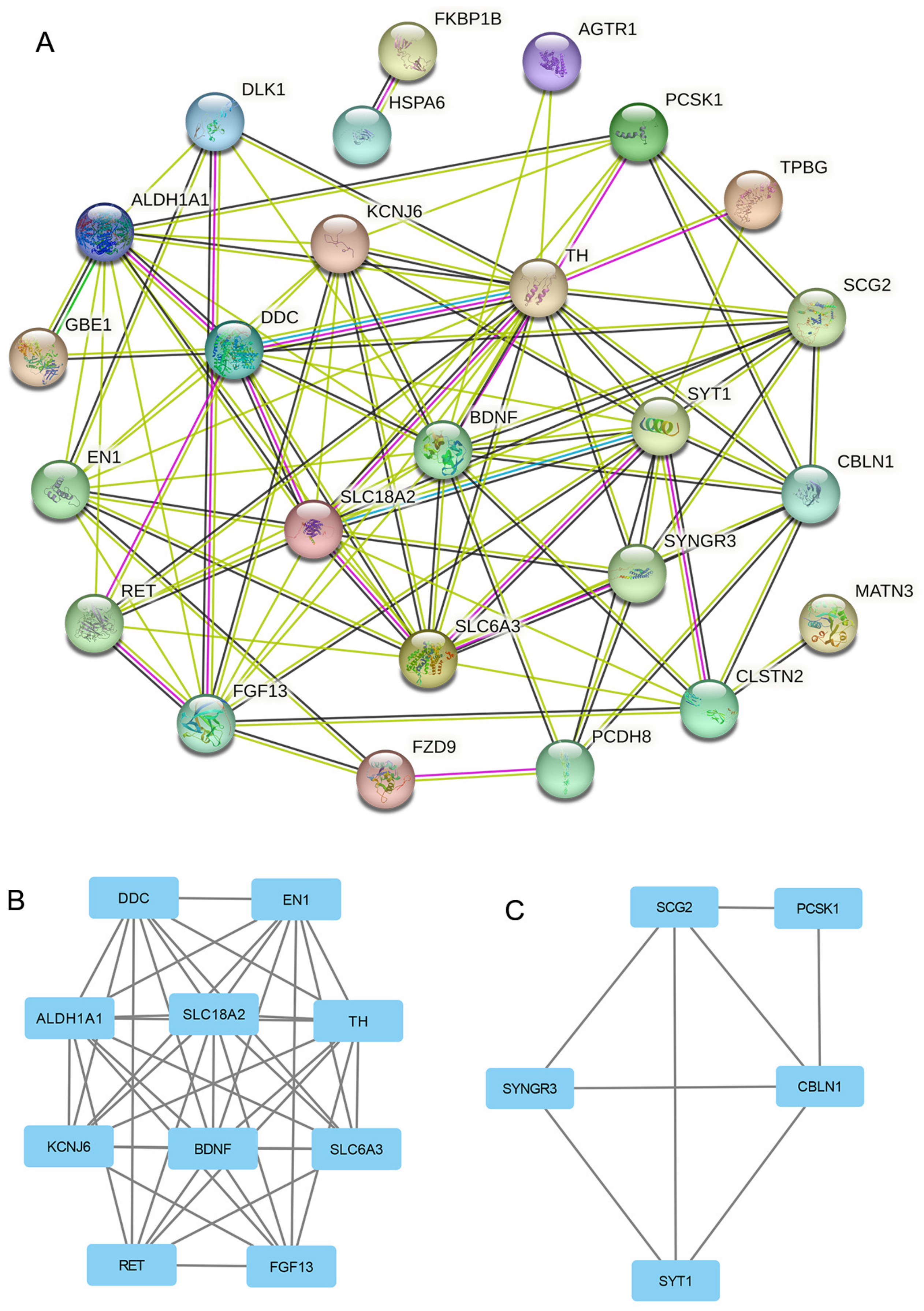Brainsci 13 00175 g004 Brainsci 13 00175 g004