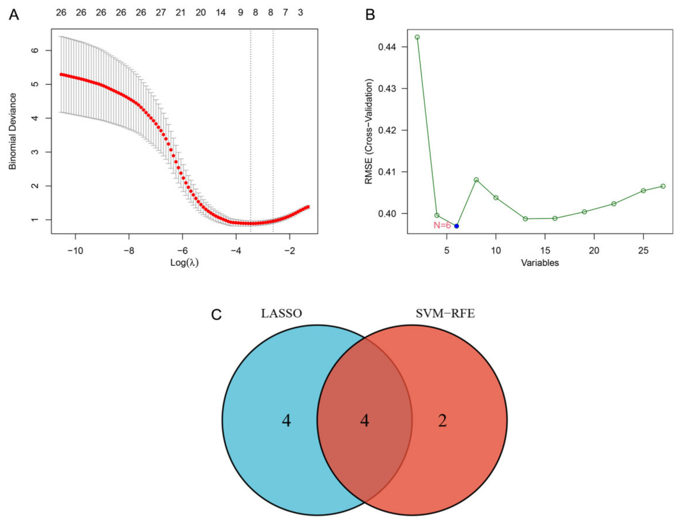 Brainsci 13 00175 g005 Brainsci 13 00175 g005