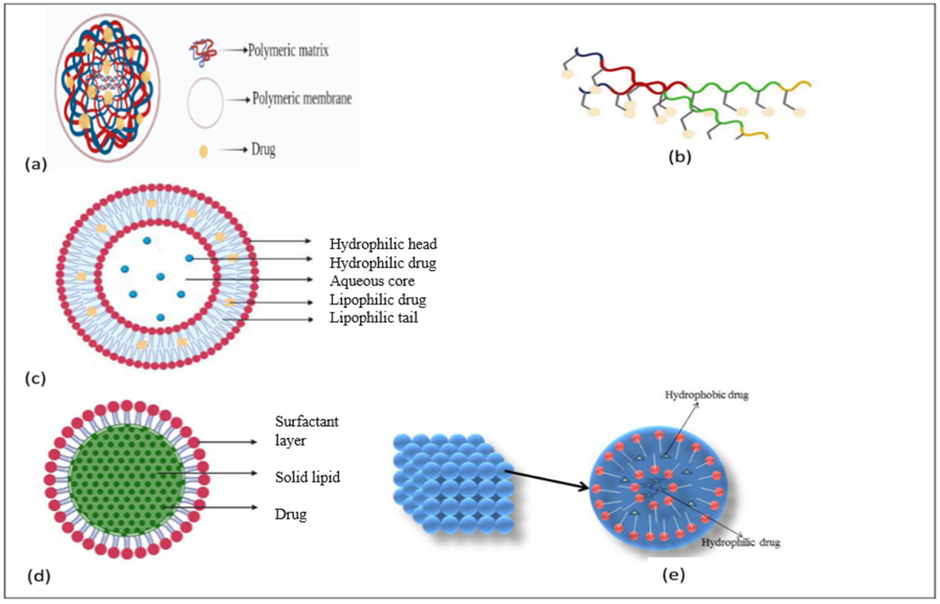 Brainsci 13 00213 g003