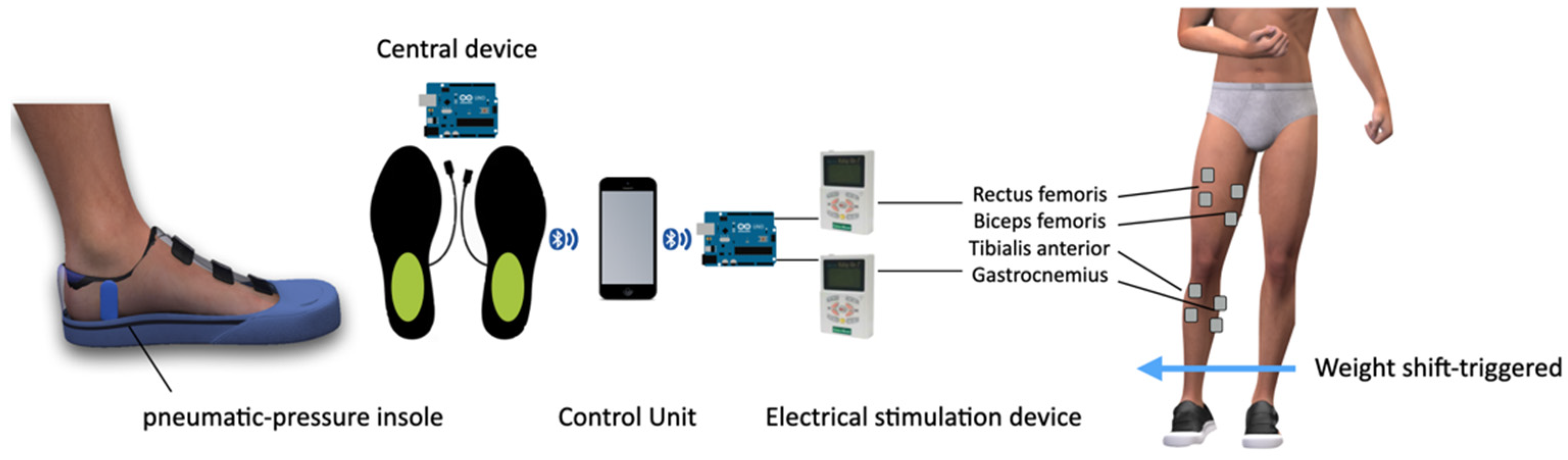 Electrical Stimulation - Balance in Motion