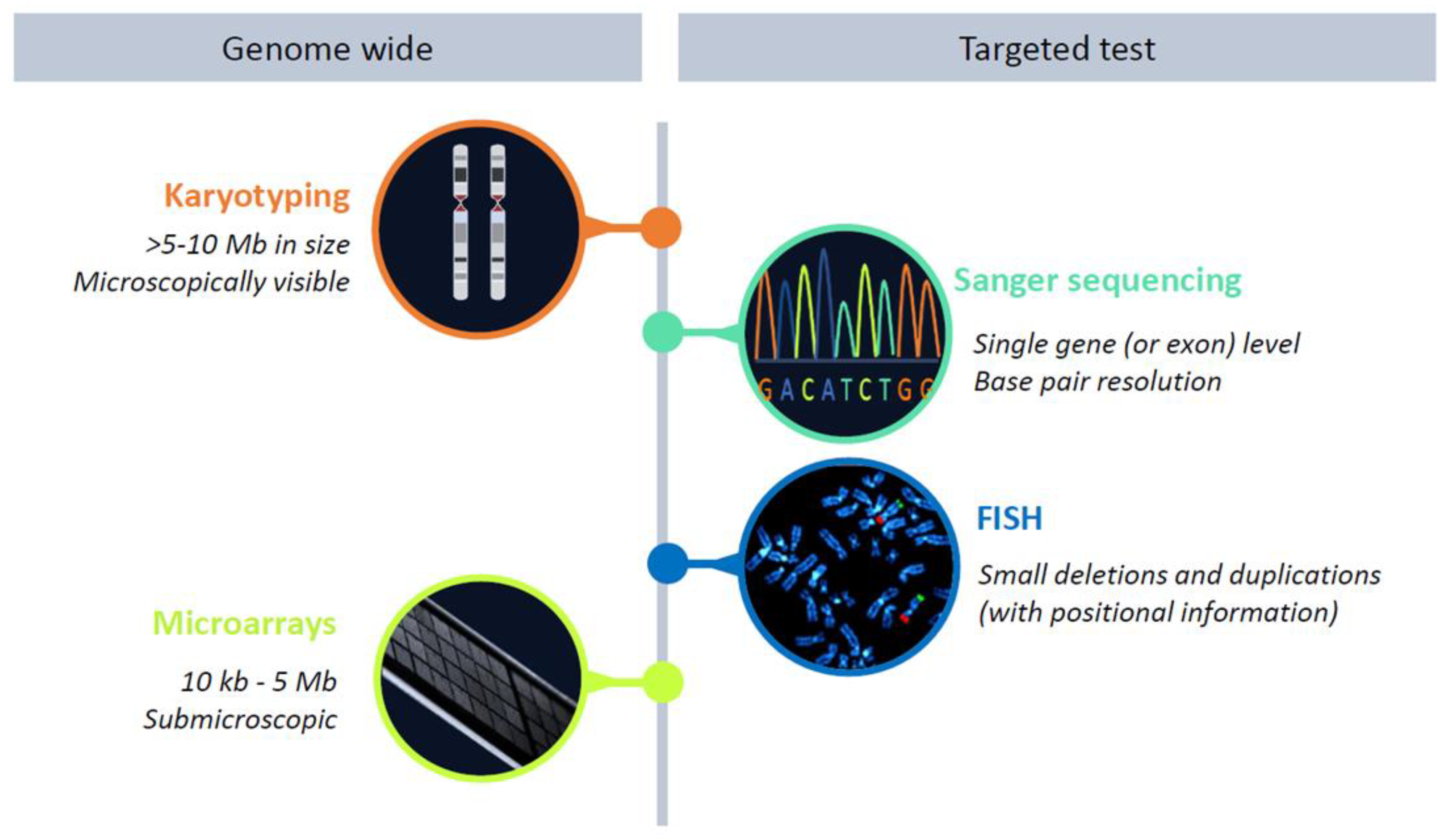 Brainsci 13 00231 g003