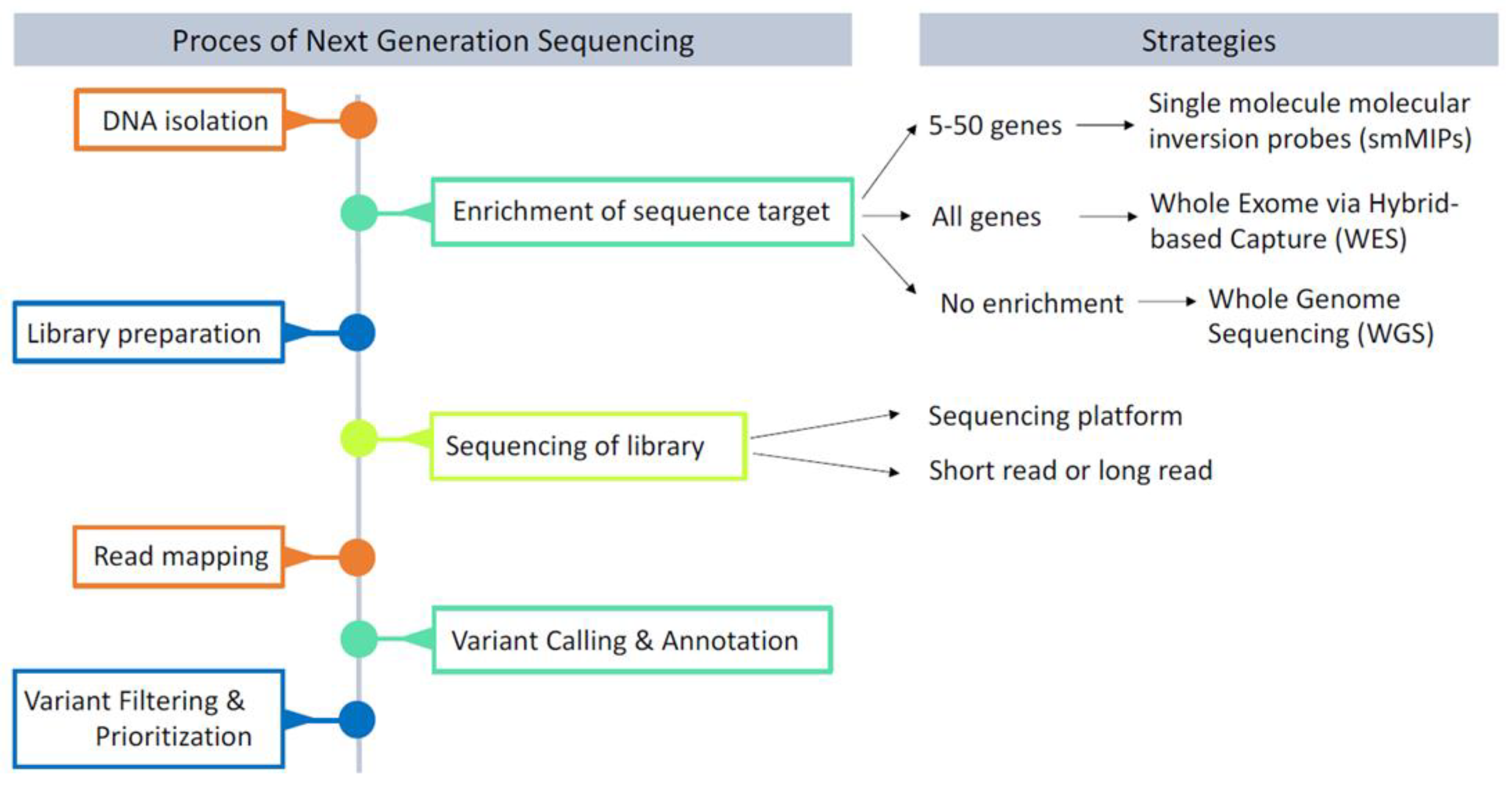 Brainsci 13 00231 g004