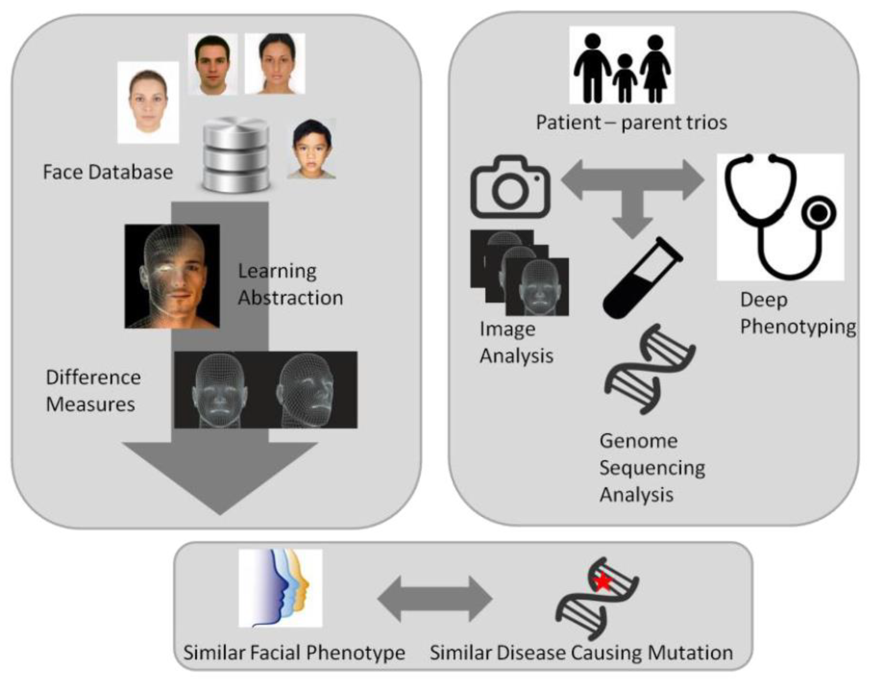 Brainsci 13 00231 g008