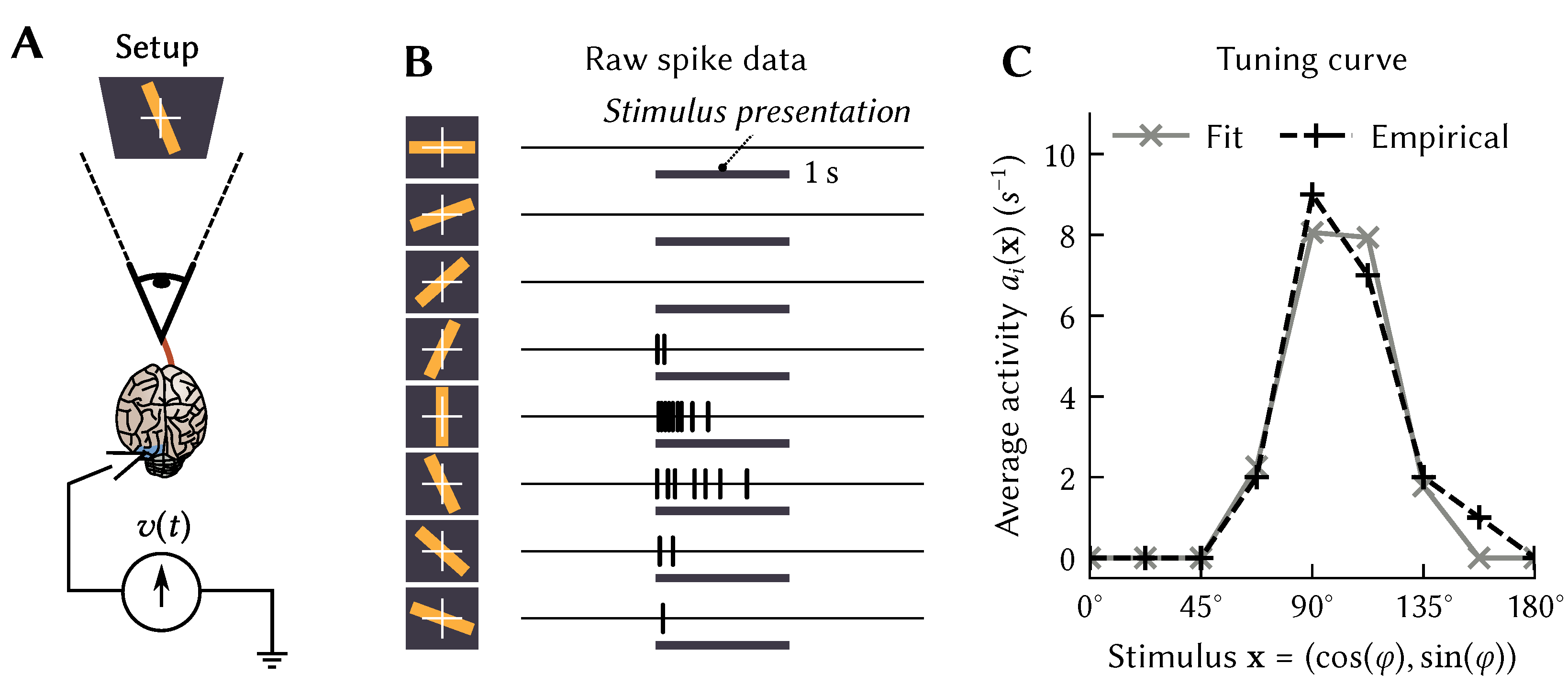 Brain Sciences | Free Full-Text | Biologically-Based Computation