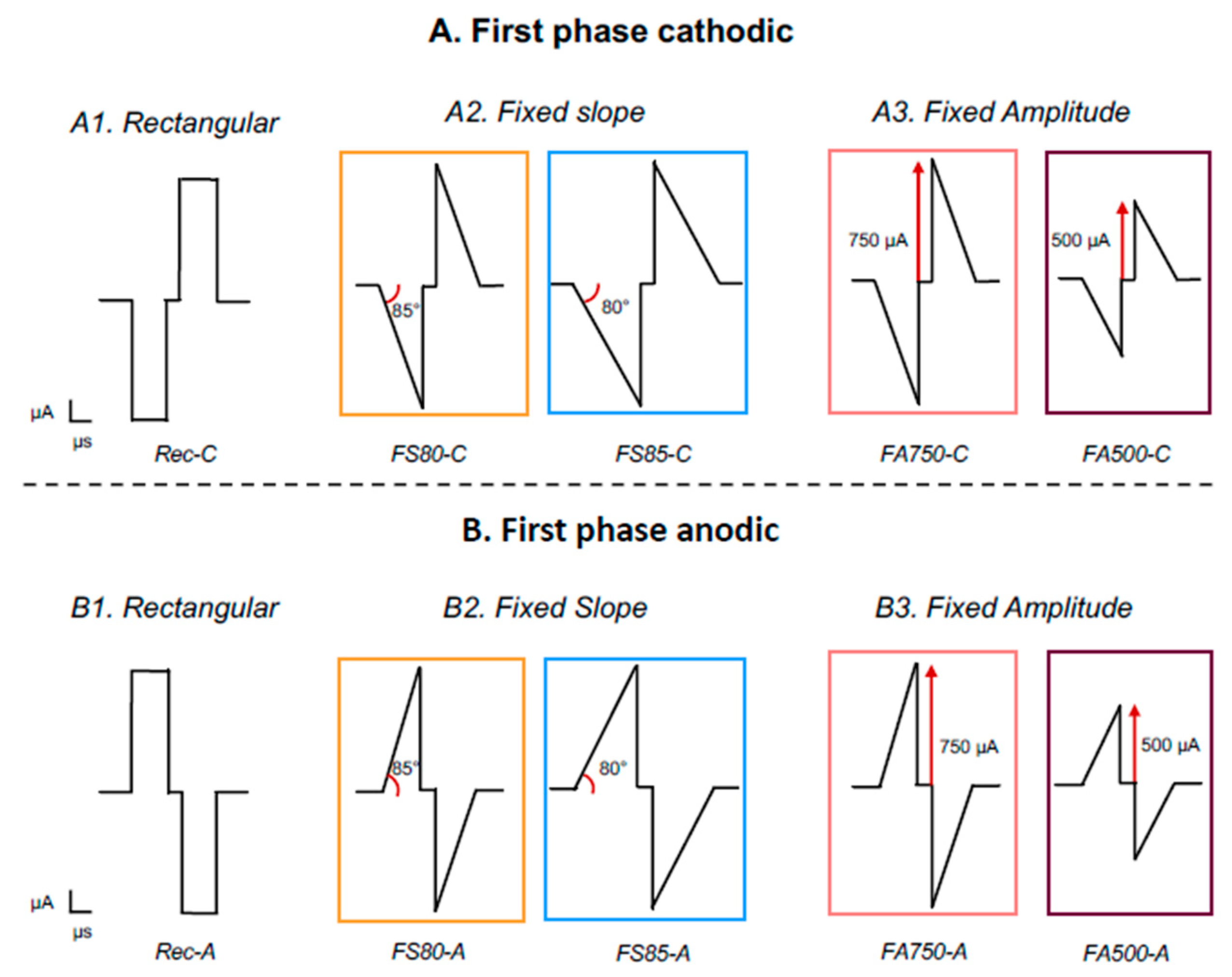 Brainsci 13 00250 g001 Brainsci 13 00250 g001