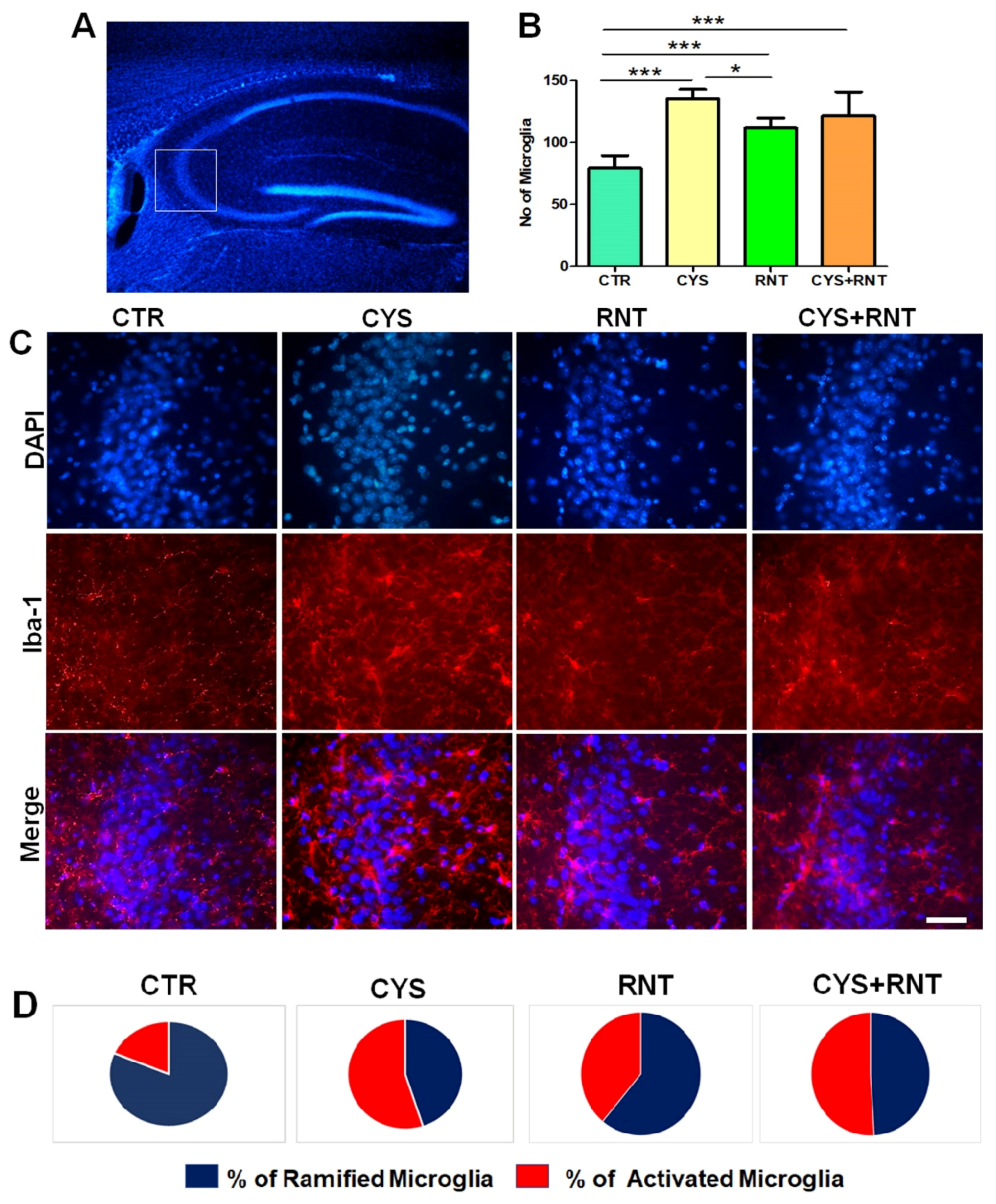 Brainsci 13 00266 g007 Brainsci 13 00266 g007