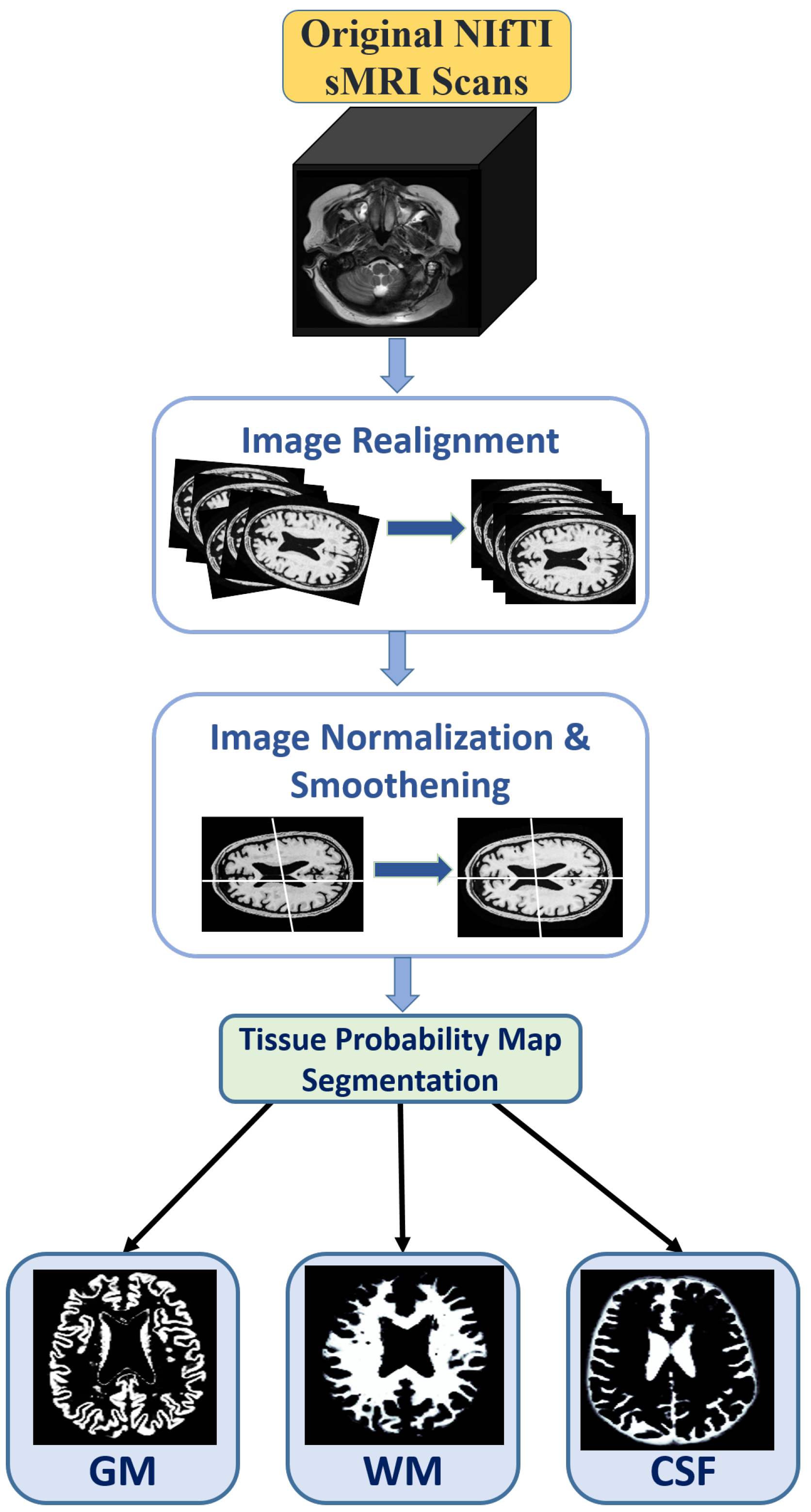 Brainsci 13 00267 g002 Brainsci 13 00267 g002