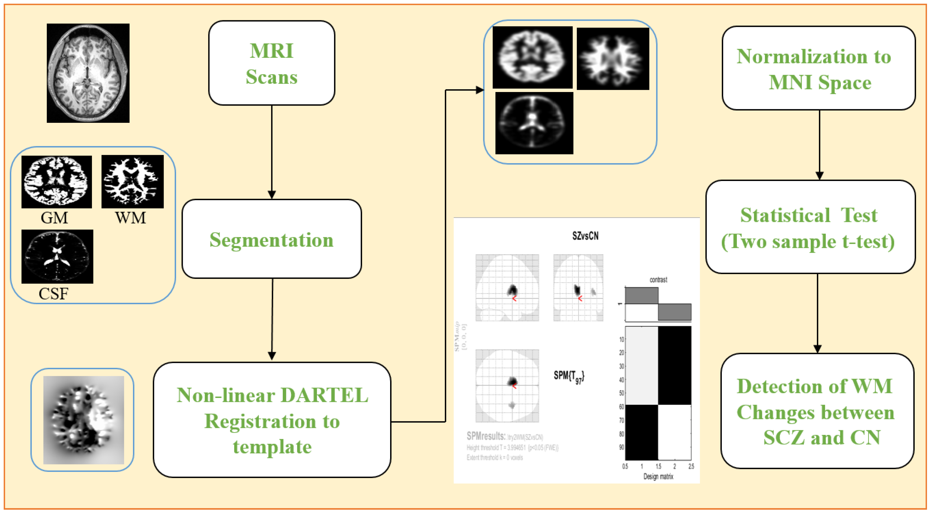 Brainsci 13 00267 g006 Brainsci 13 00267 g006