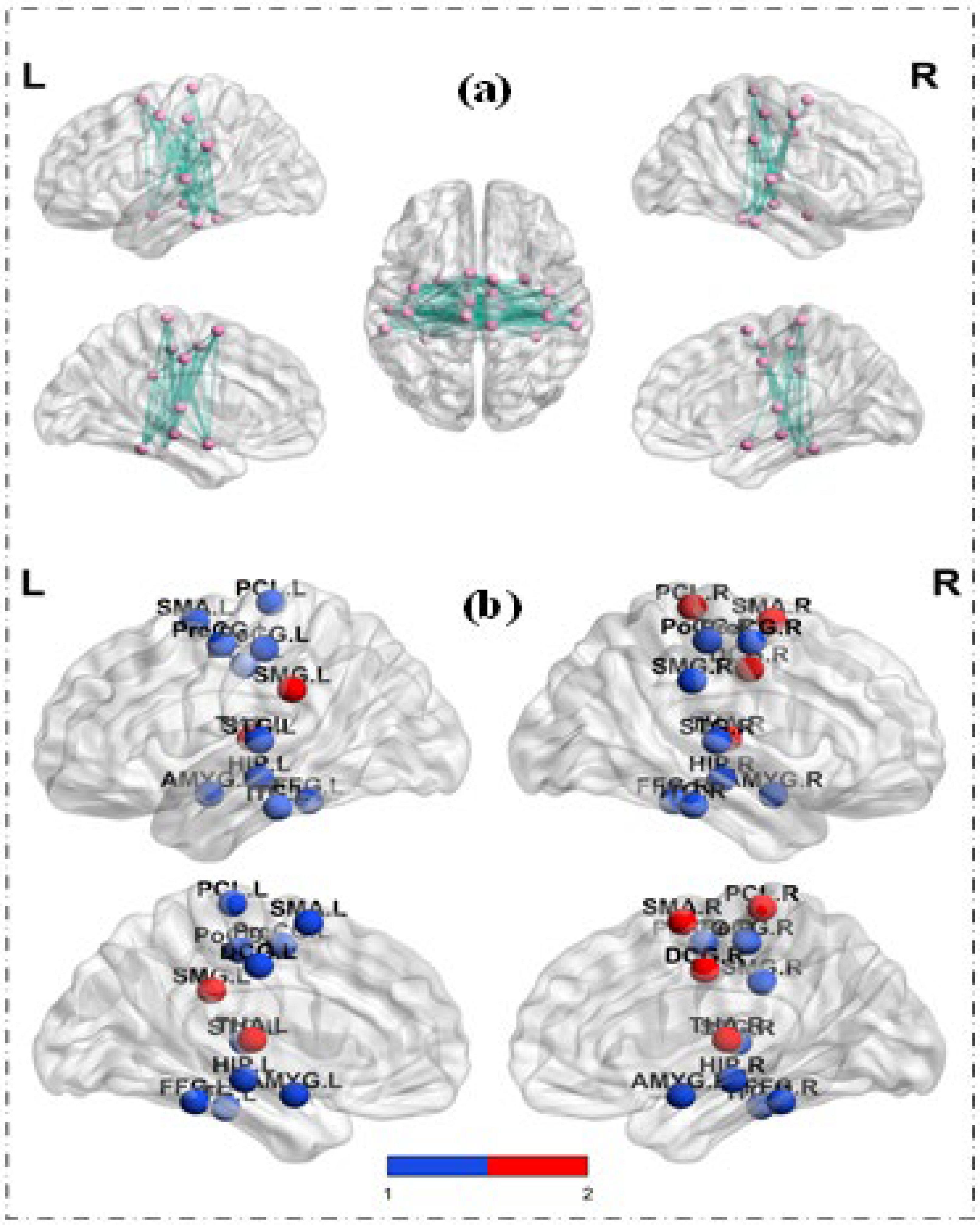 Brain Sciences, Free Full-Text