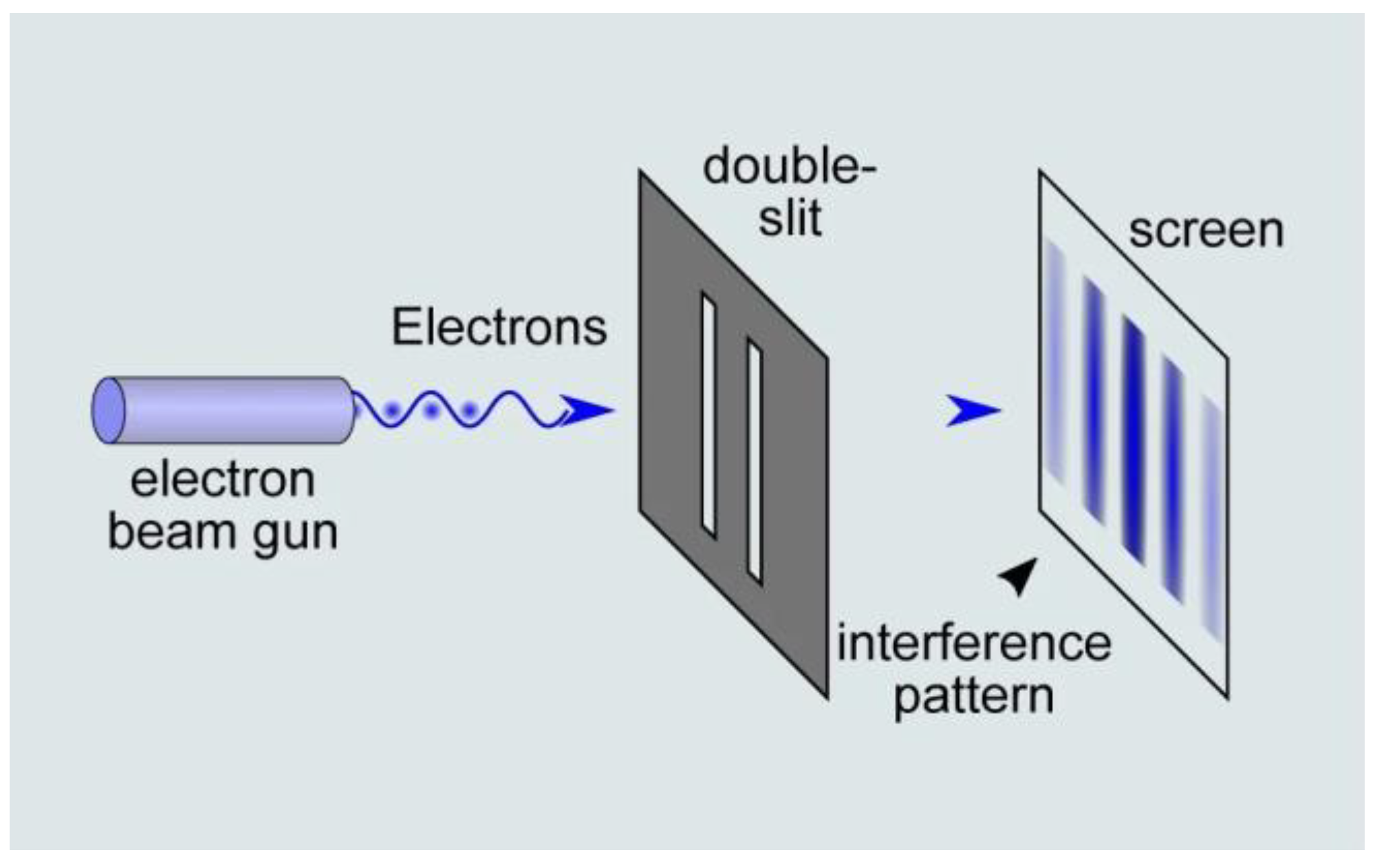 Brainsci 13 00303 g002