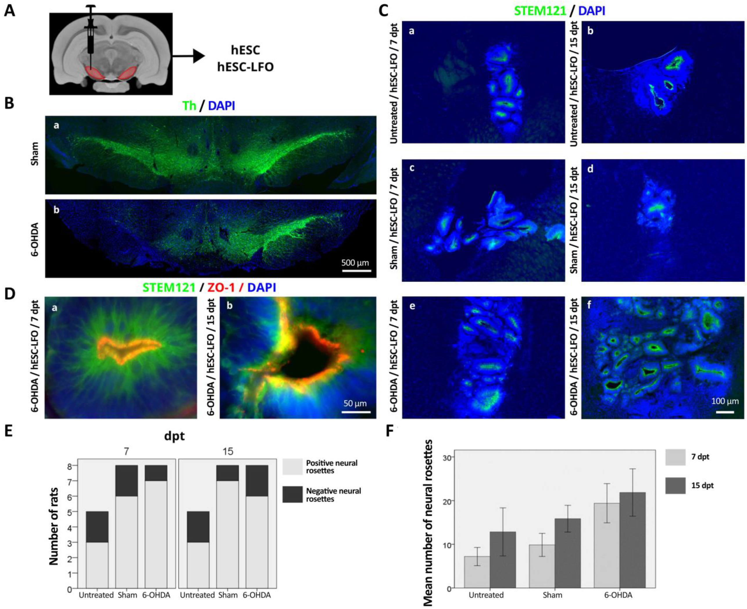 Brainsci 13 00329 g001