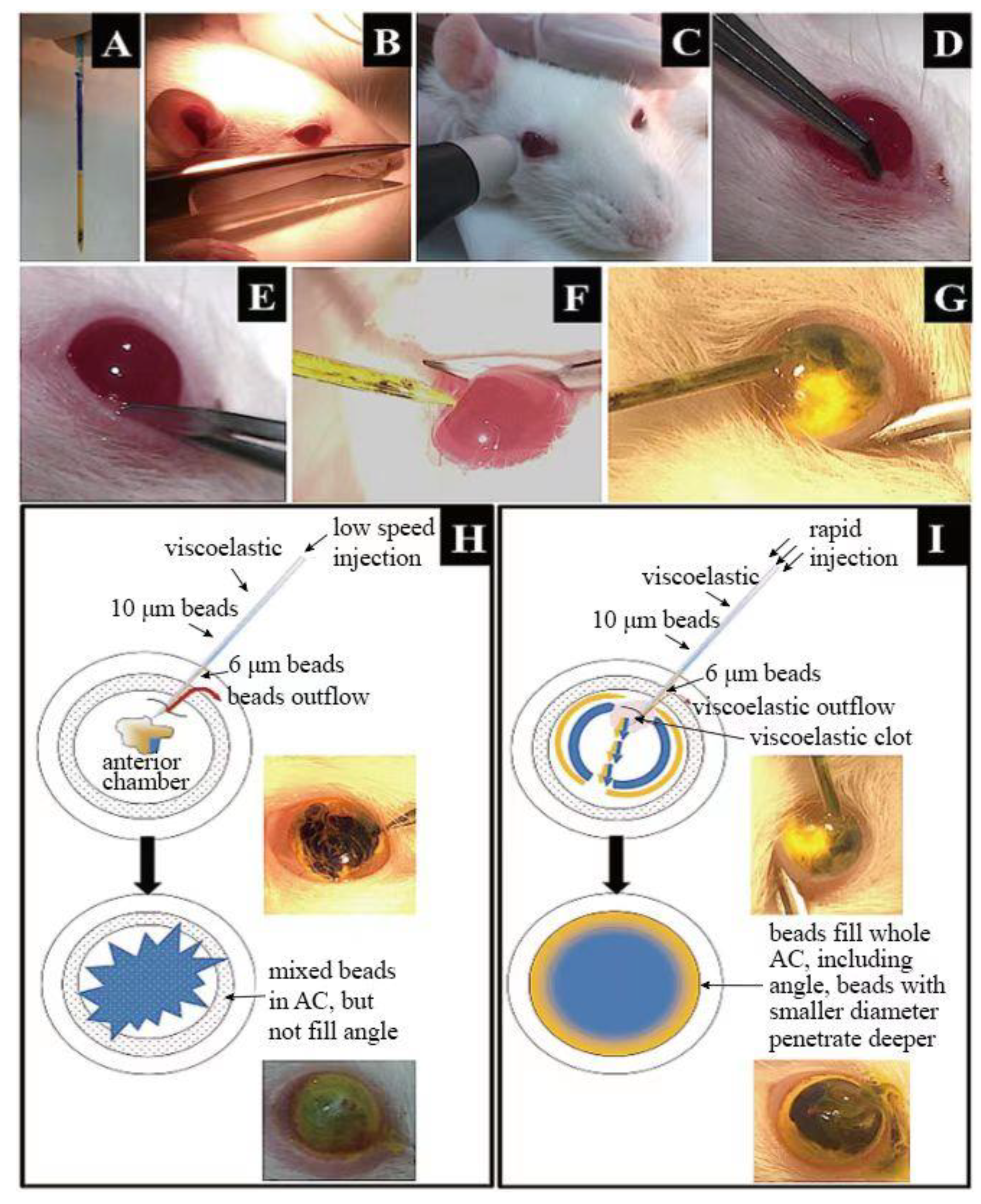Brainsci 13 00404 g001 Brainsci 13 00404 g001