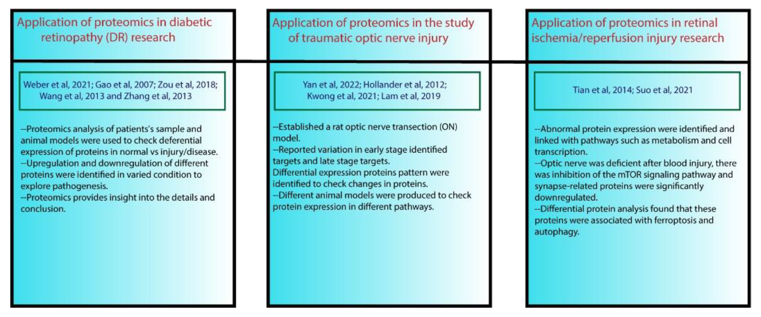 Brainsci 13 00404 g003 Brainsci 13 00404 g003