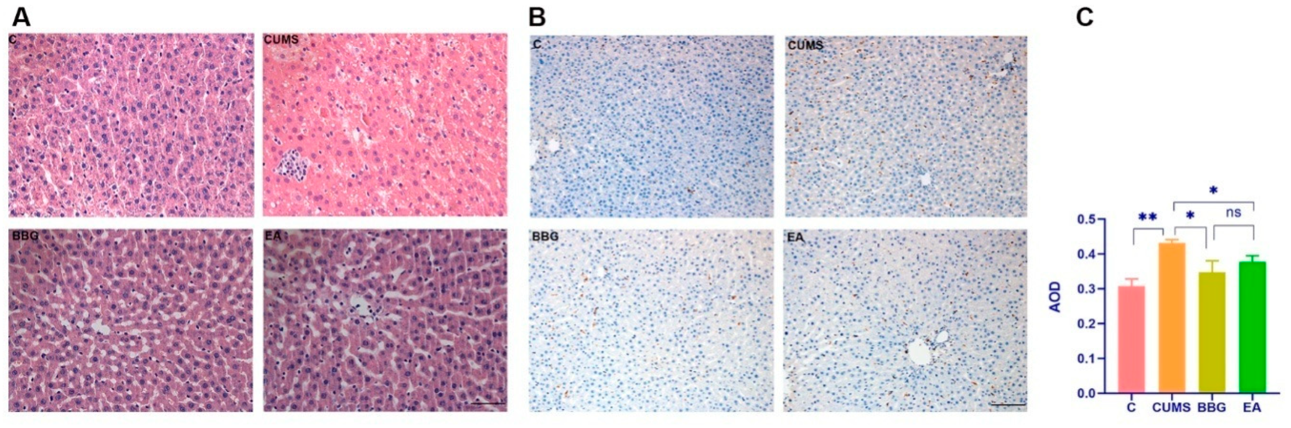 Brainsci 13 00436 g004