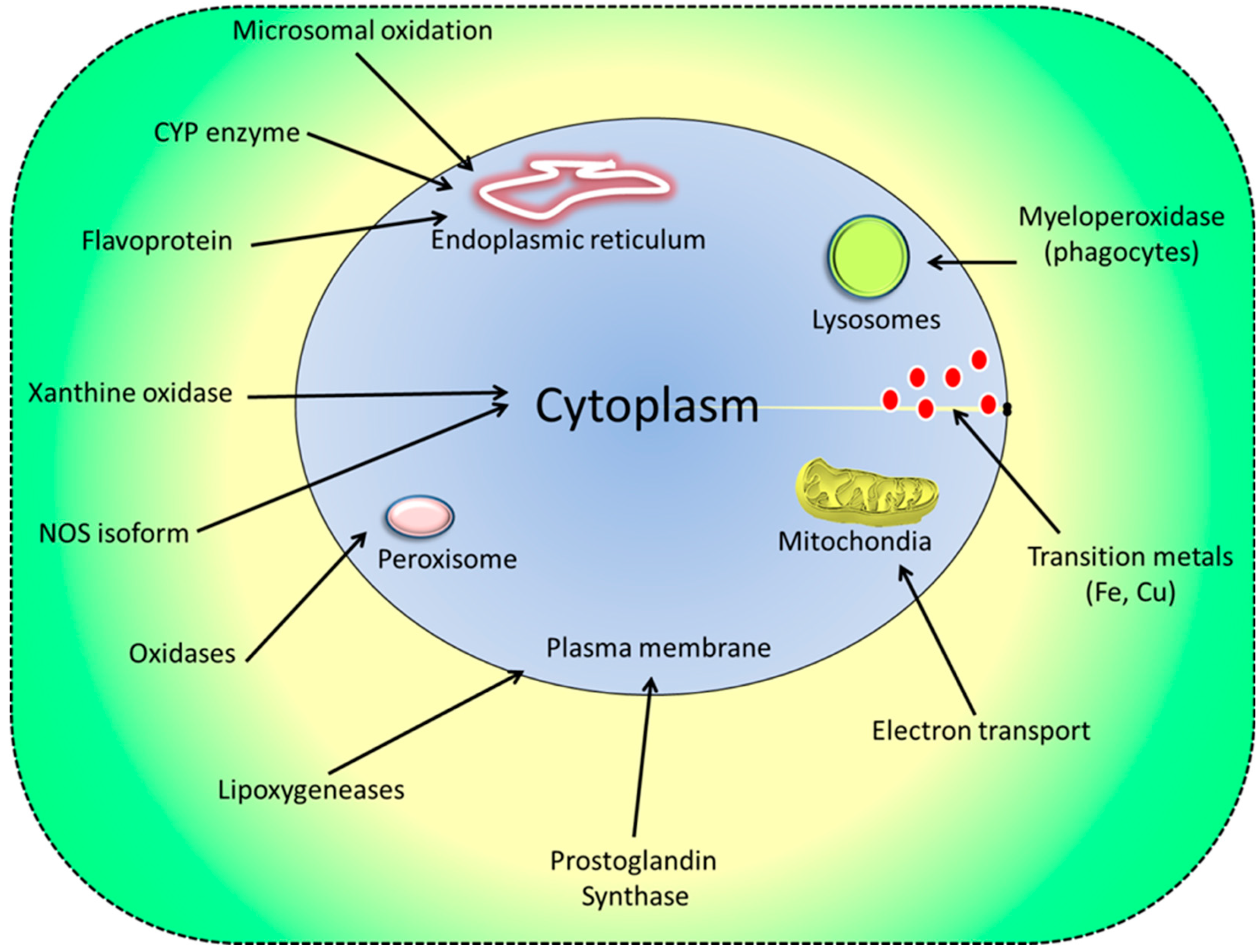 Crucial Roles of Carotenoids as Bacterial Endogenous Defense