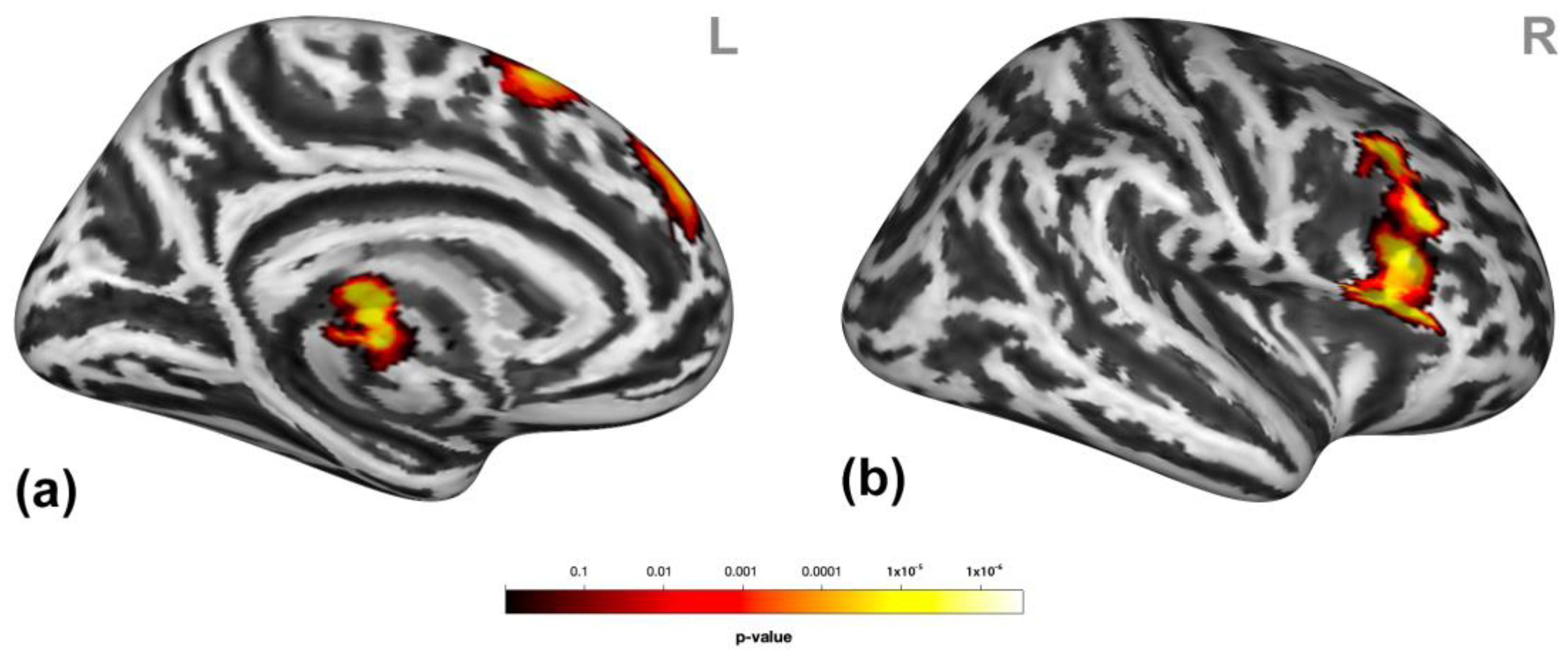 Brainsci 13 00474 g003 Brainsci 13 00474 g003