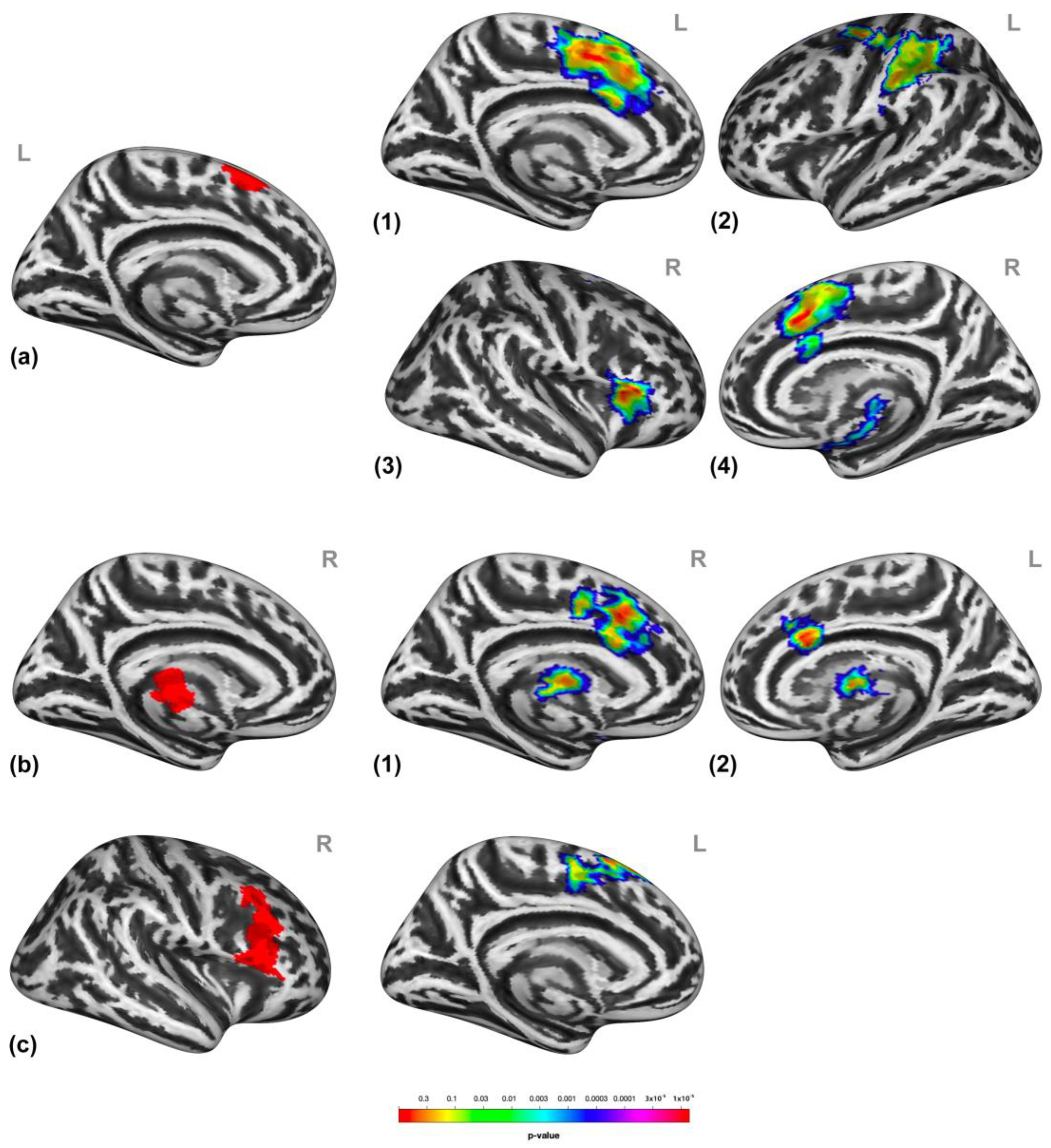 Brainsci 13 00474 g005 Brainsci 13 00474 g005