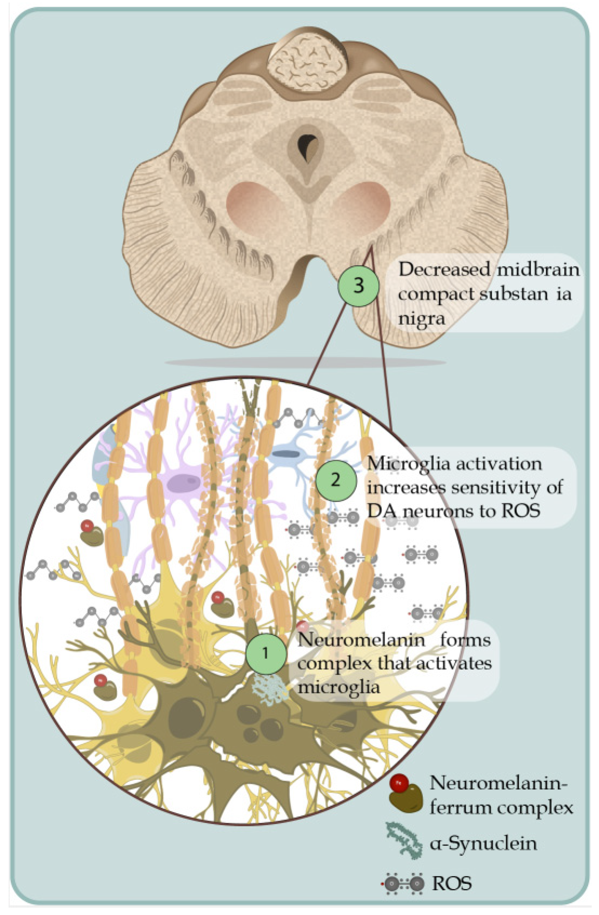 Brainsci 13 00508 g001