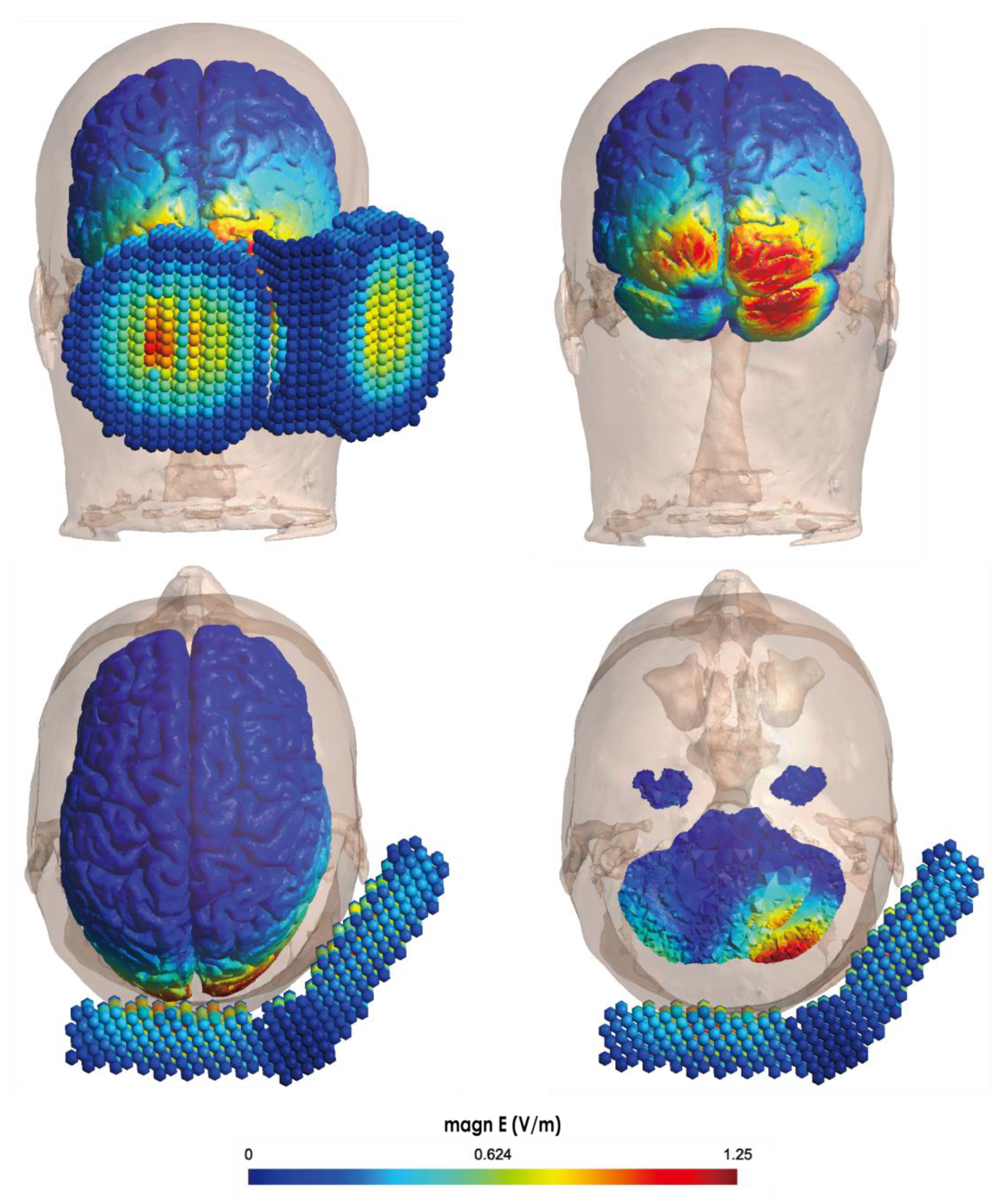 Brainsci 13 00531 g002
