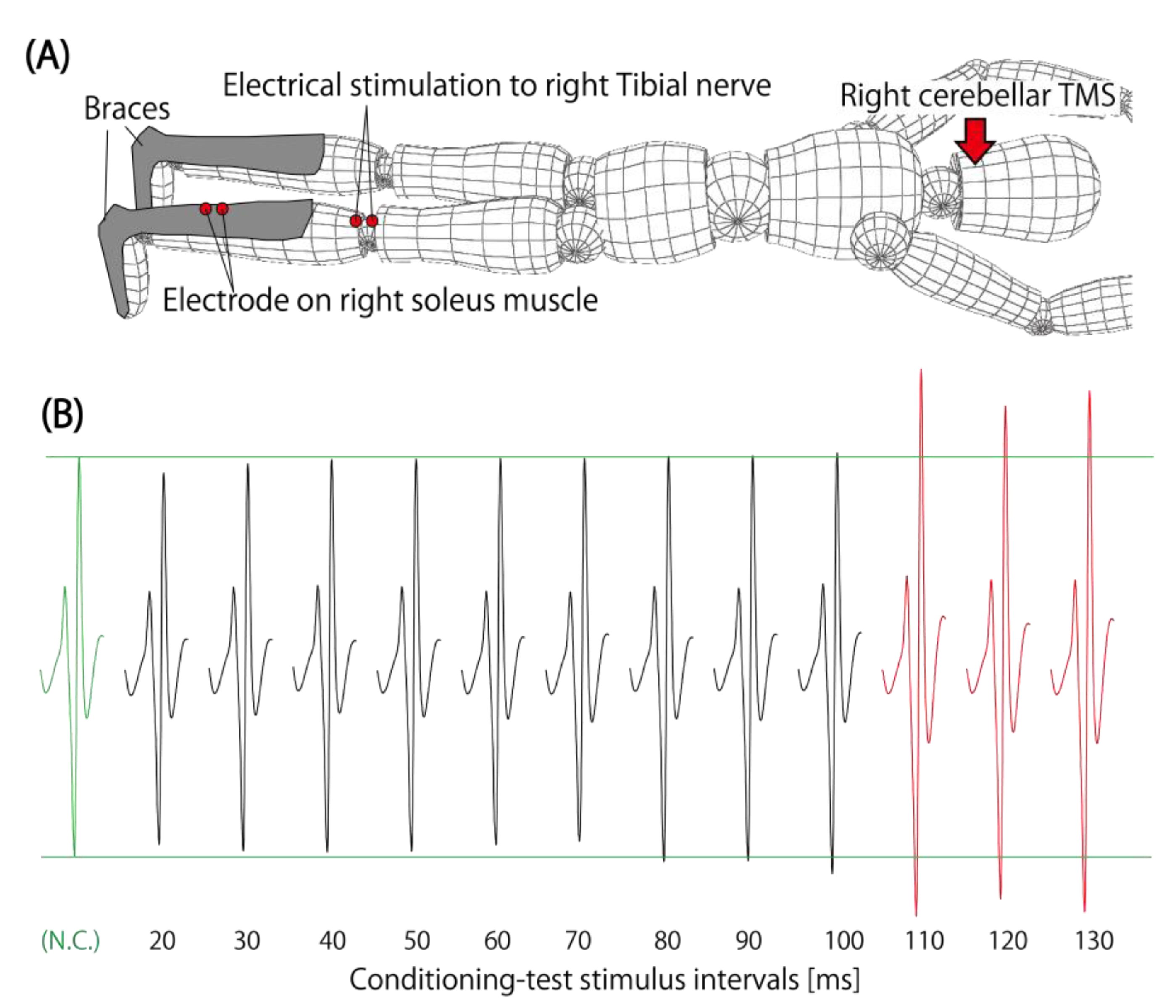 Brainsci 13 00531 g004