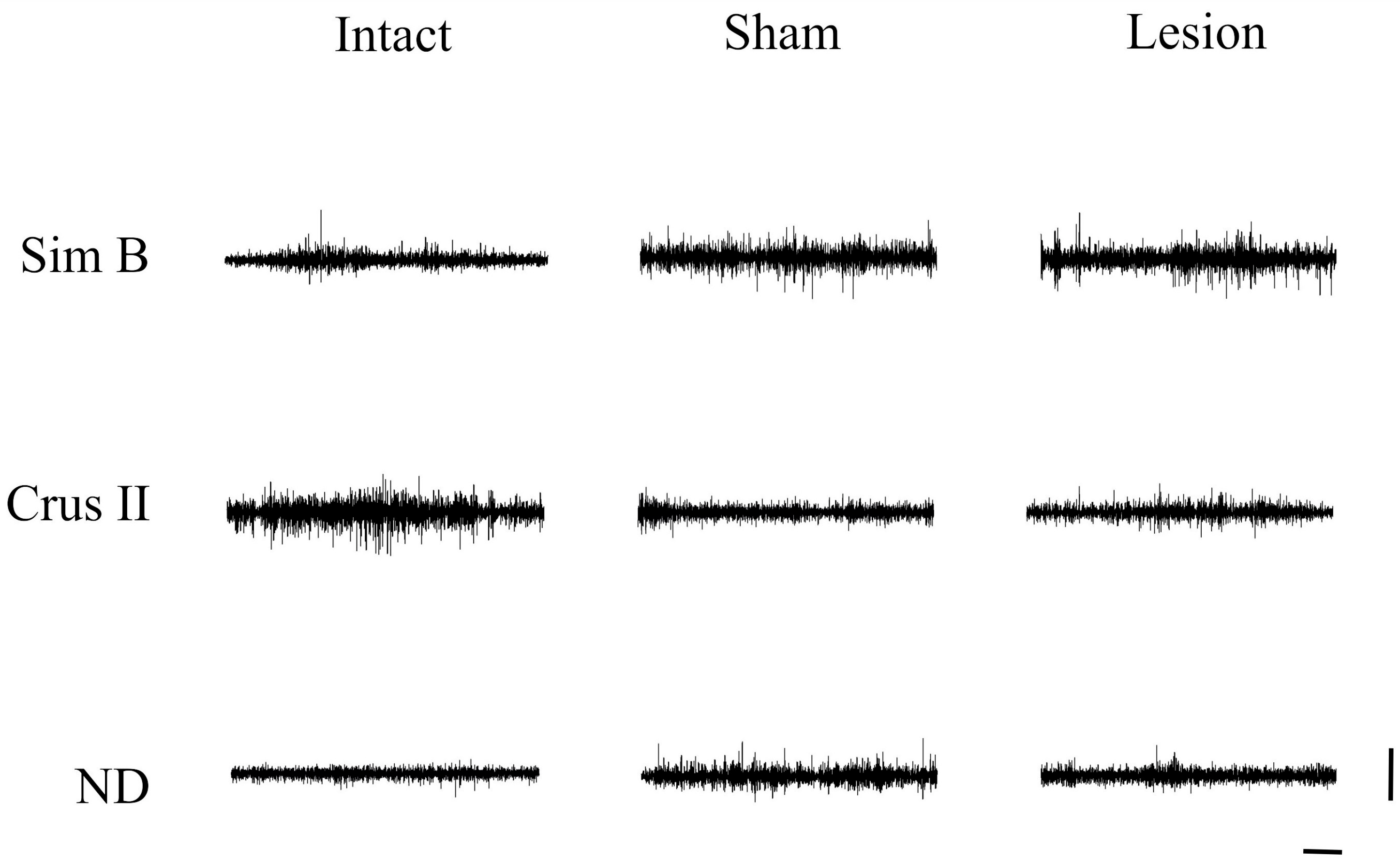 Brainsci 13 00537 g005