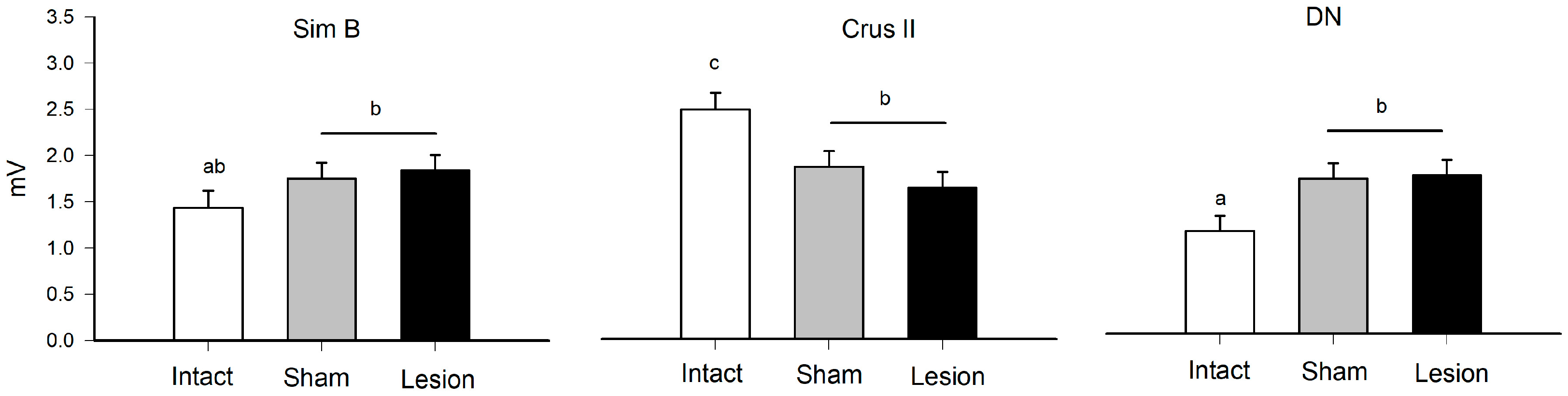 Brainsci 13 00537 g006