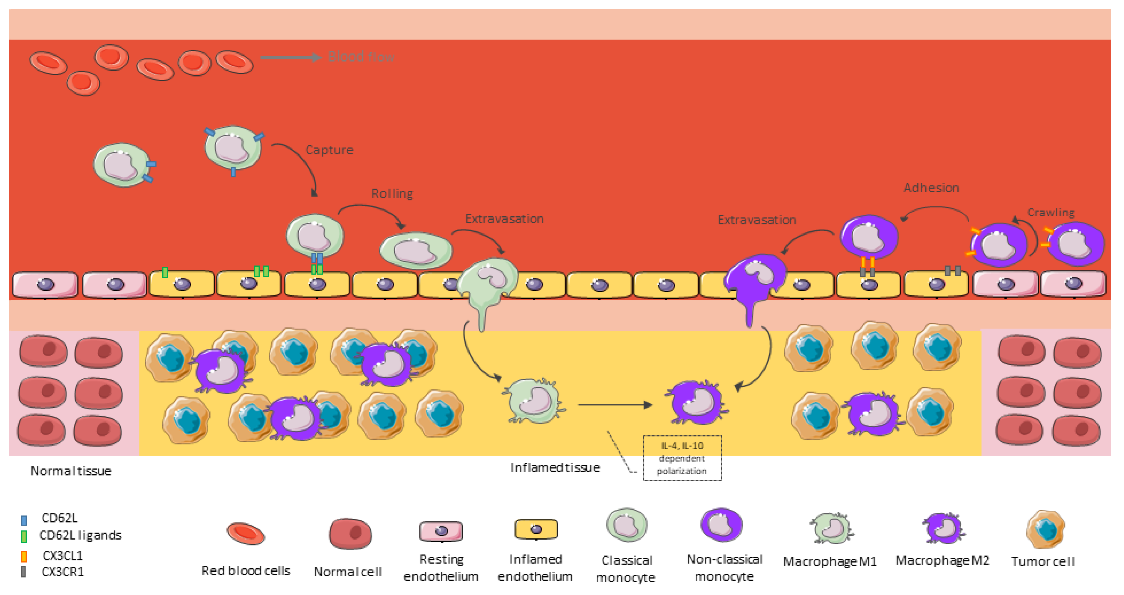 Brainsci 13 00542 g002 Brainsci 13 00542 g002
