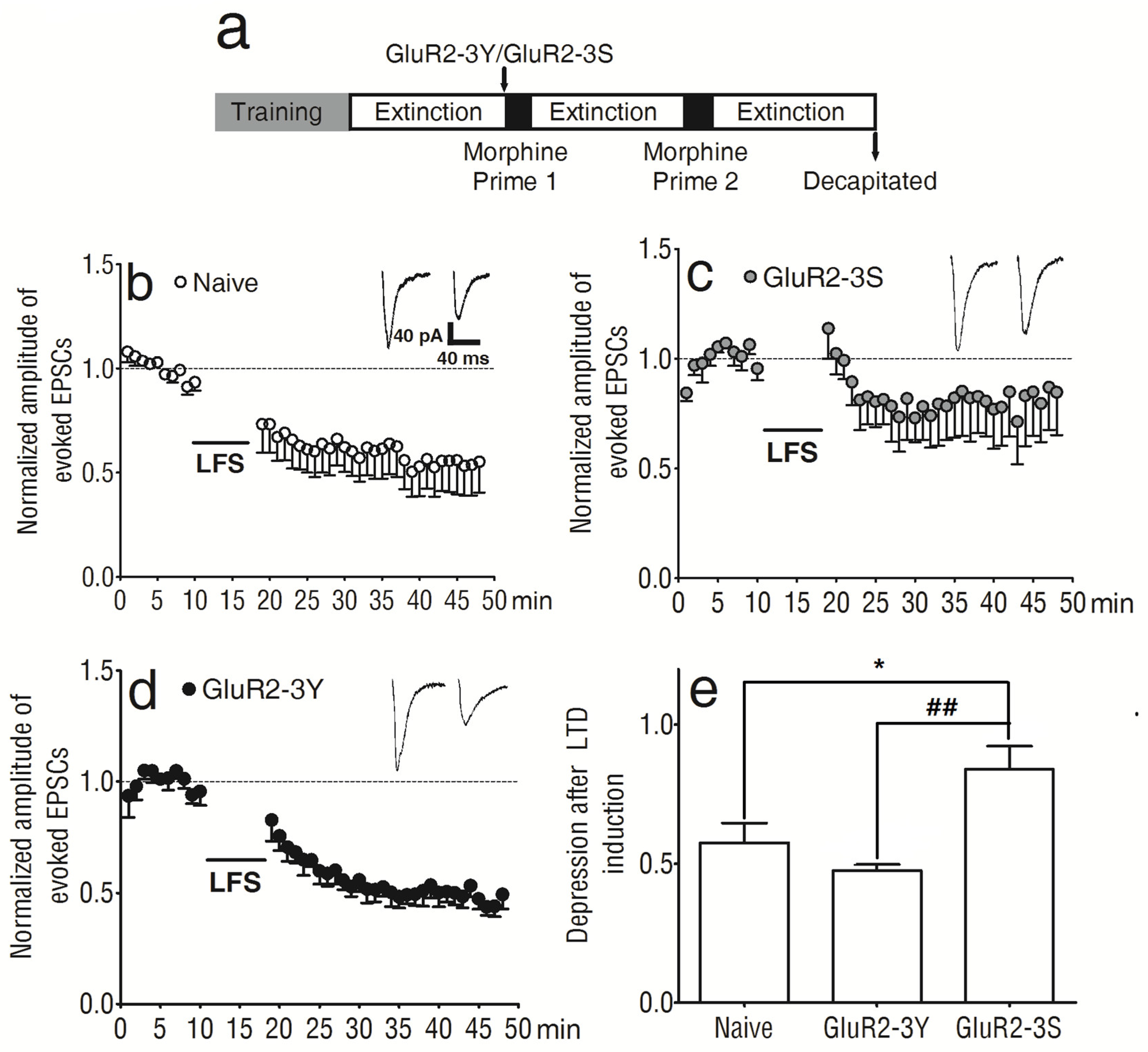 Brainsci 13 00590 g003