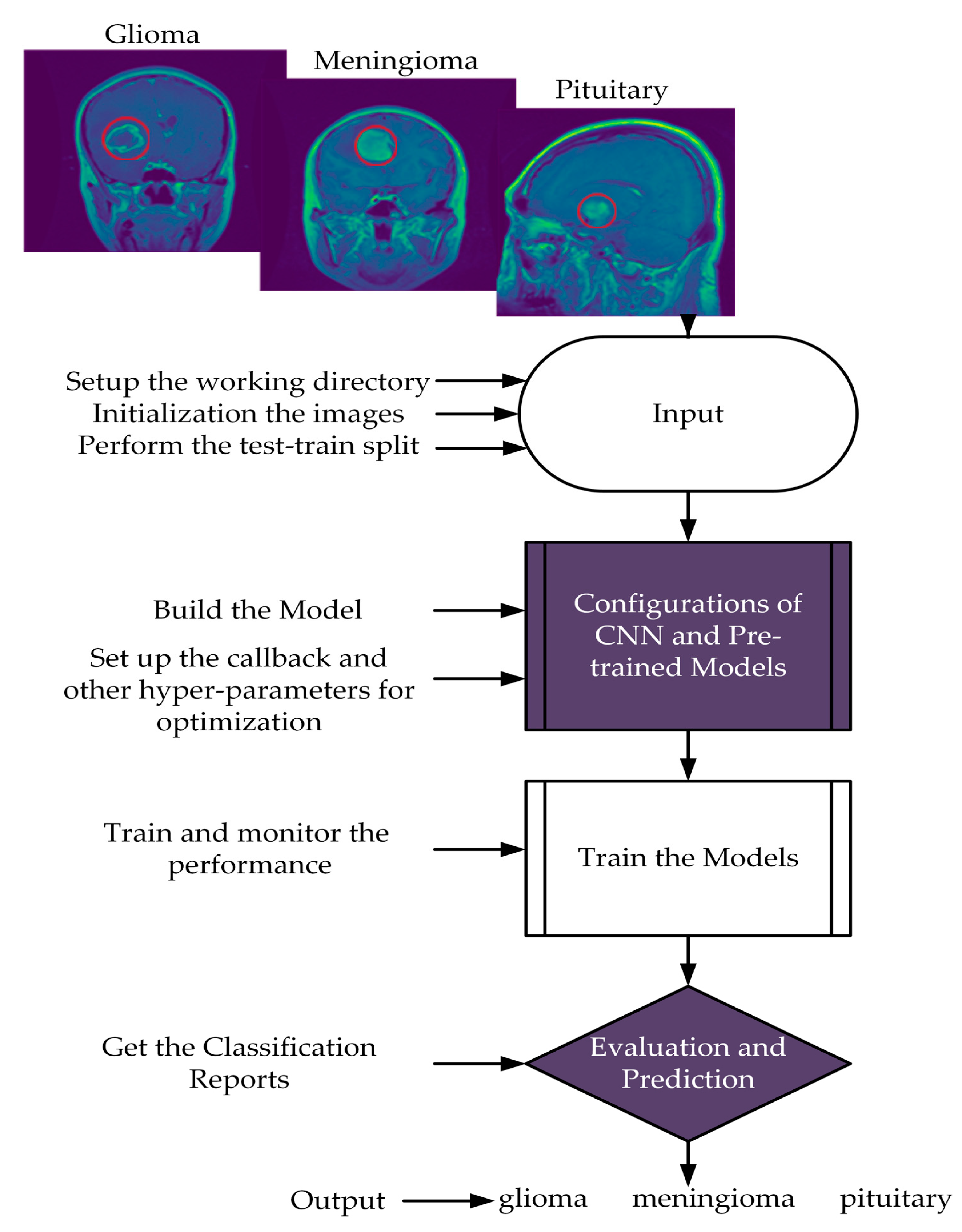 https://www.mdpi.com/brainsci/brainsci-13-00602/article_deploy/html/images/brainsci-13-00602-g001.png