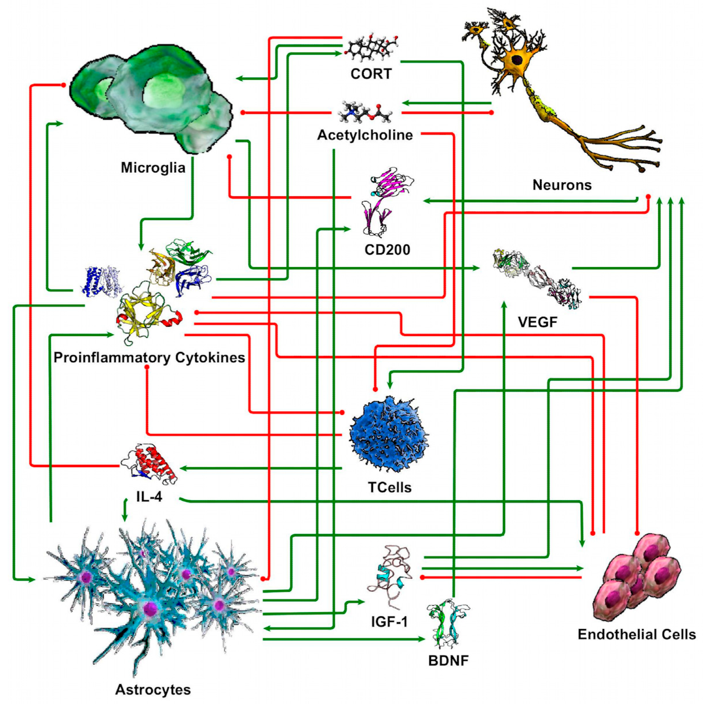 Brainsci 13 00623 g002