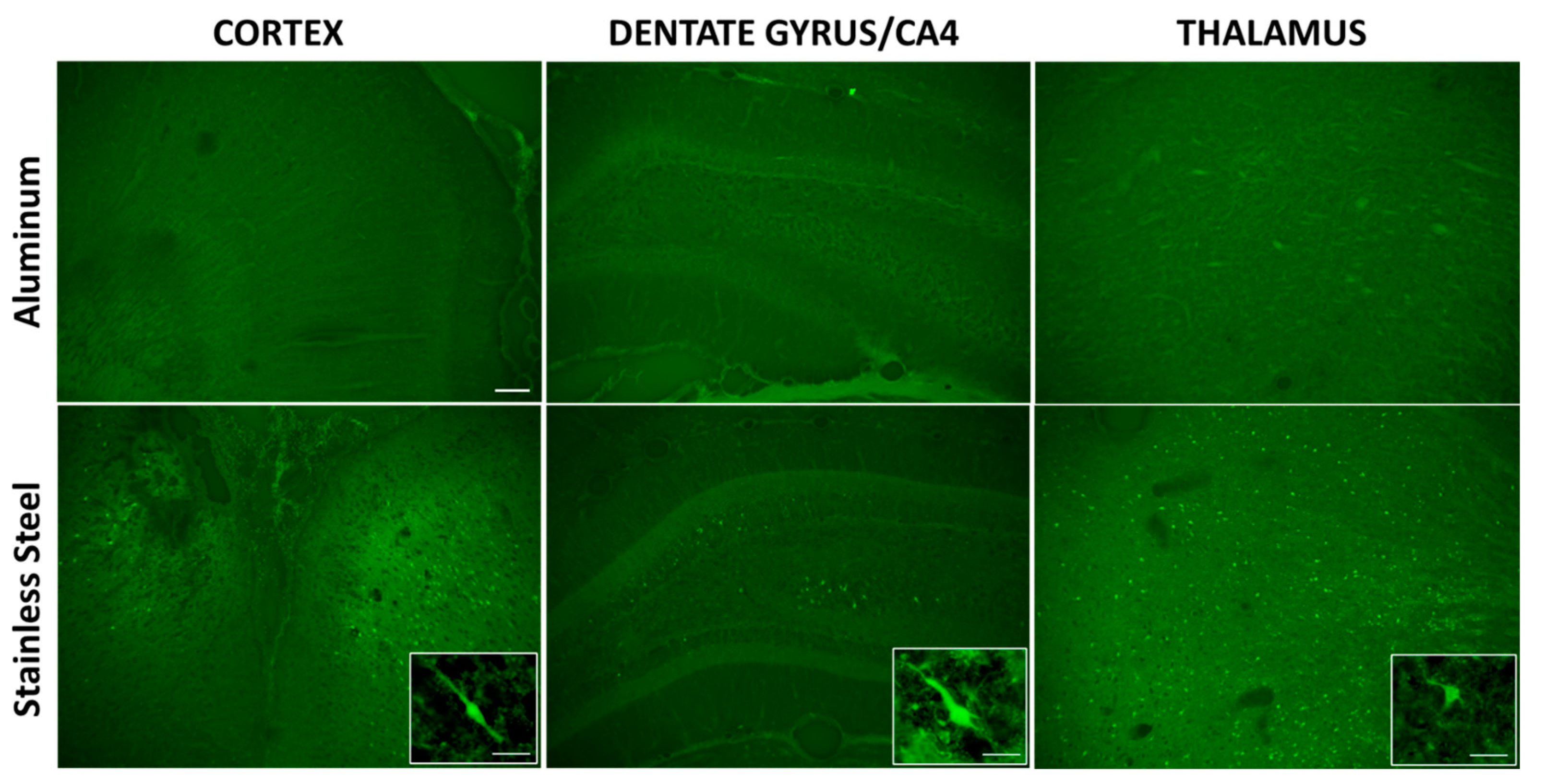 Brainsci 13 00623 g004