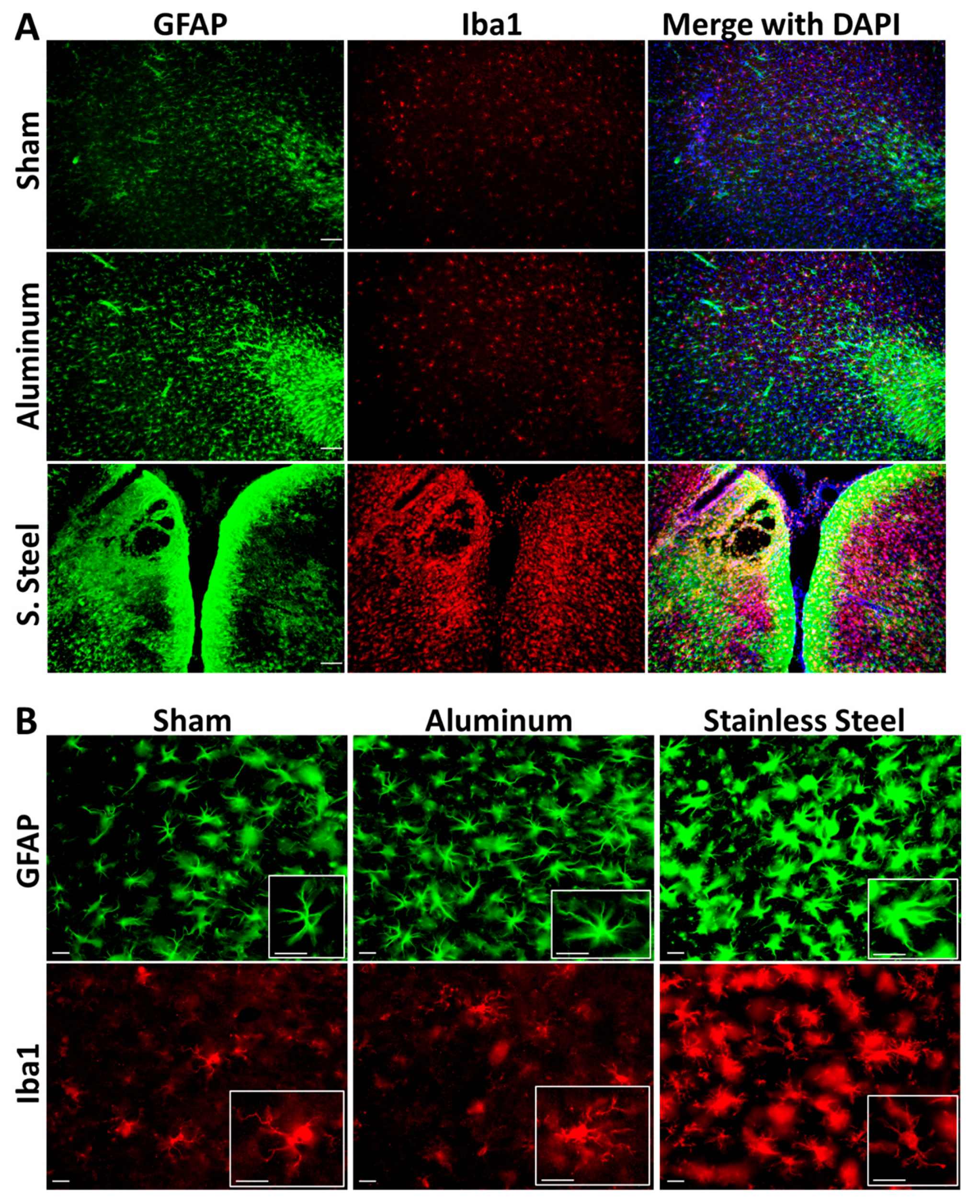 Brainsci 13 00623 g005