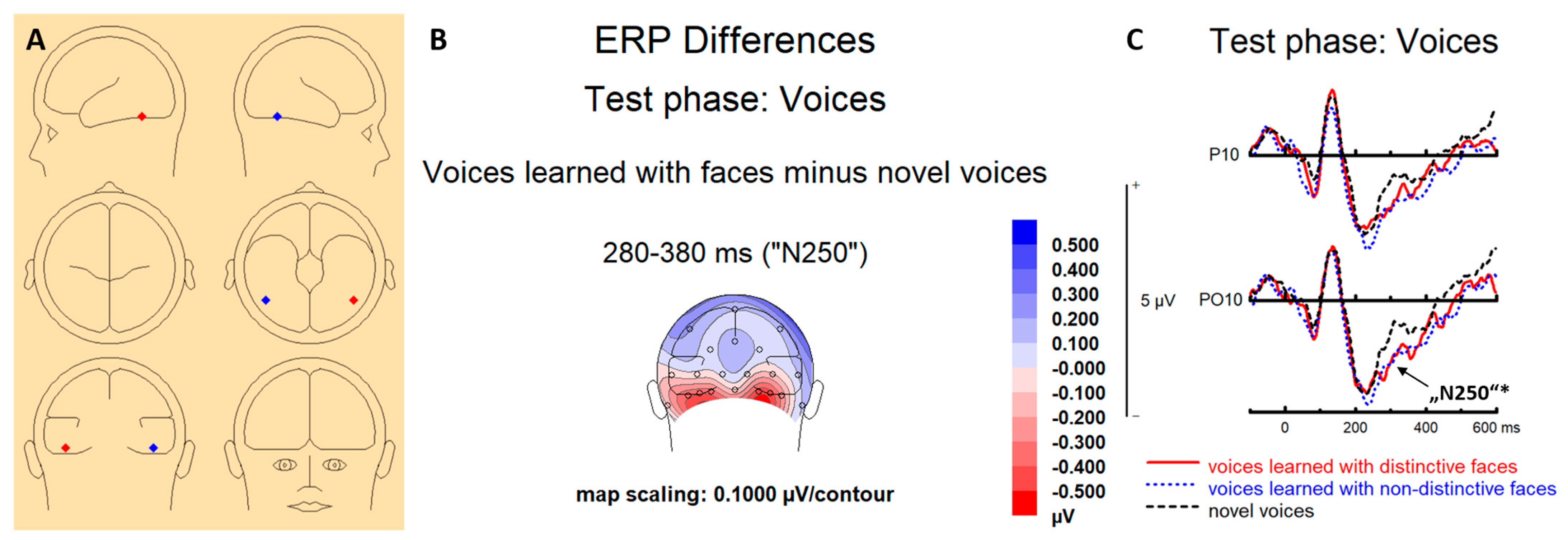 Brainsci 13 00637 g005