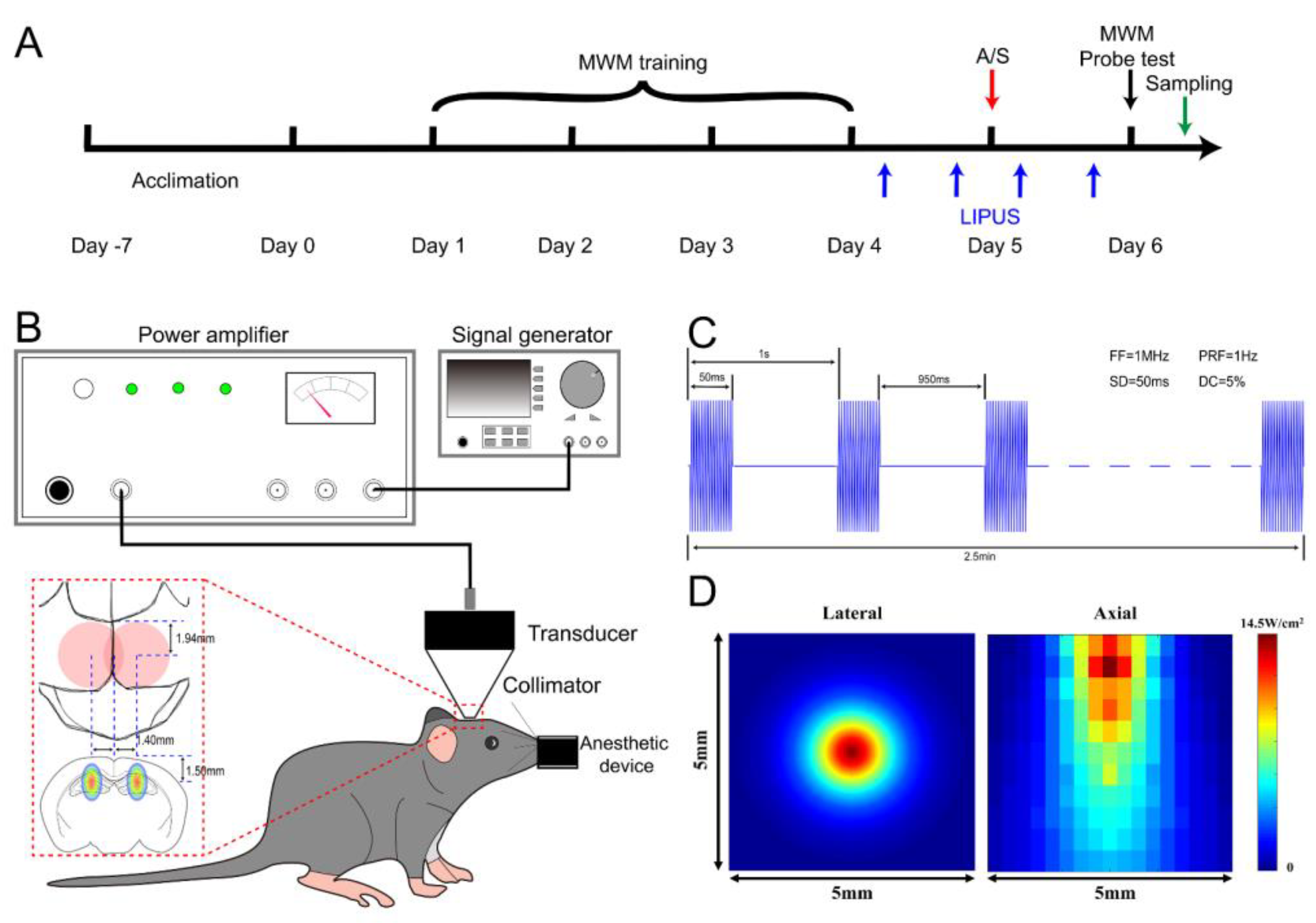 Brainsci 13 00657 g001 Brainsci 13 00657 g001
