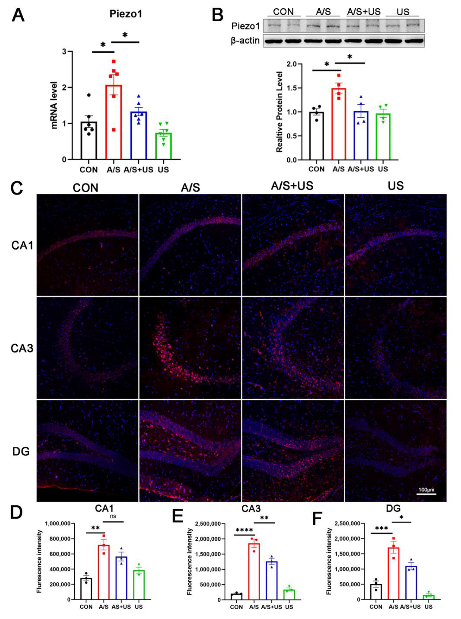 Brainsci 13 00657 g005 Brainsci 13 00657 g005