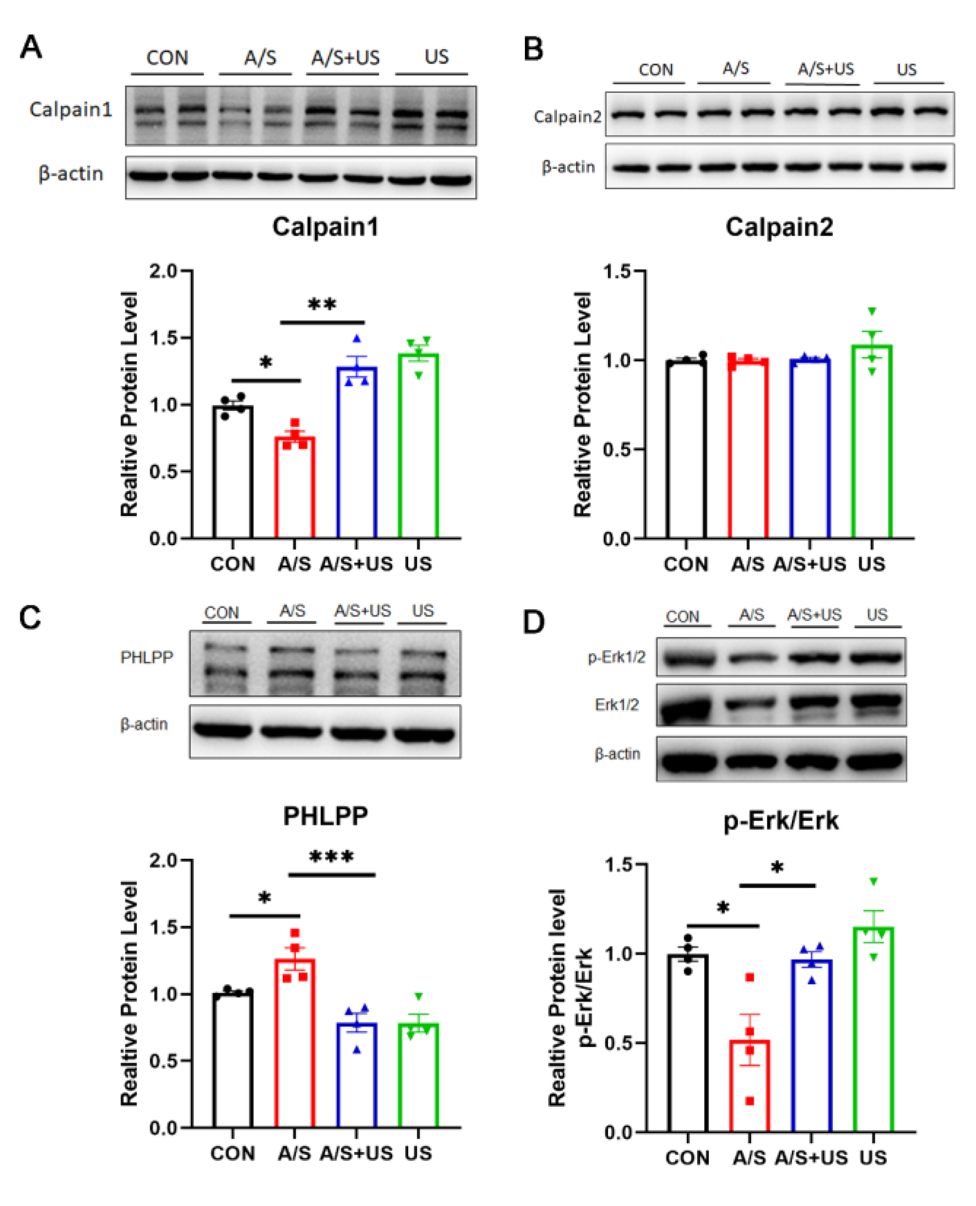 Brainsci 13 00657 g006 Brainsci 13 00657 g006