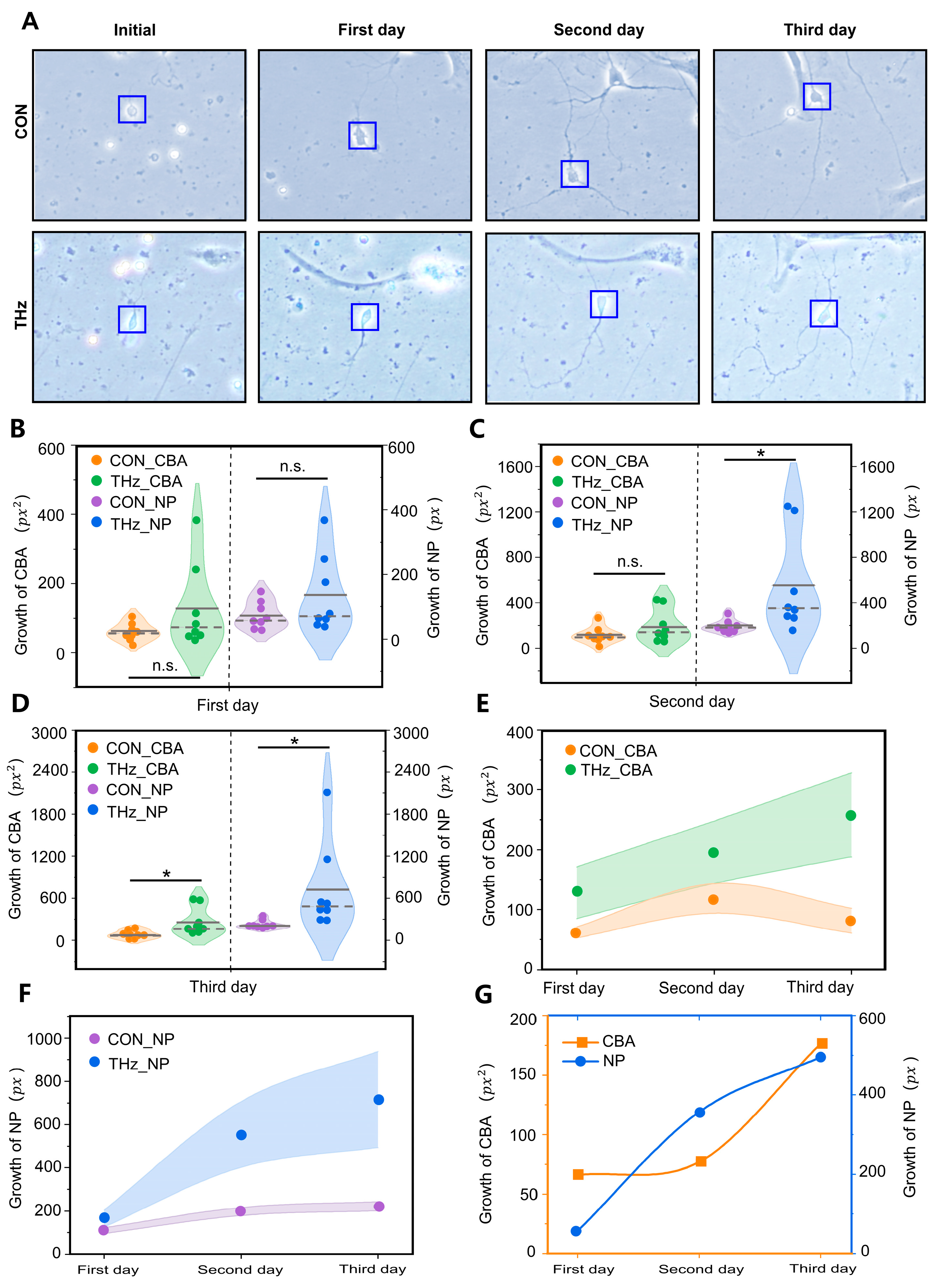 Brainsci 13 00686 g002 Brainsci 13 00686 g002