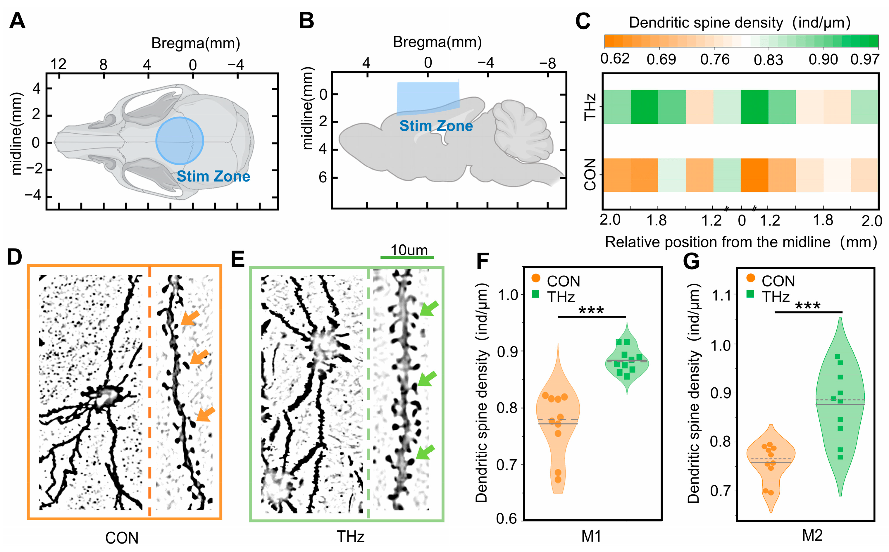 Brainsci 13 00686 g005 Brainsci 13 00686 g005