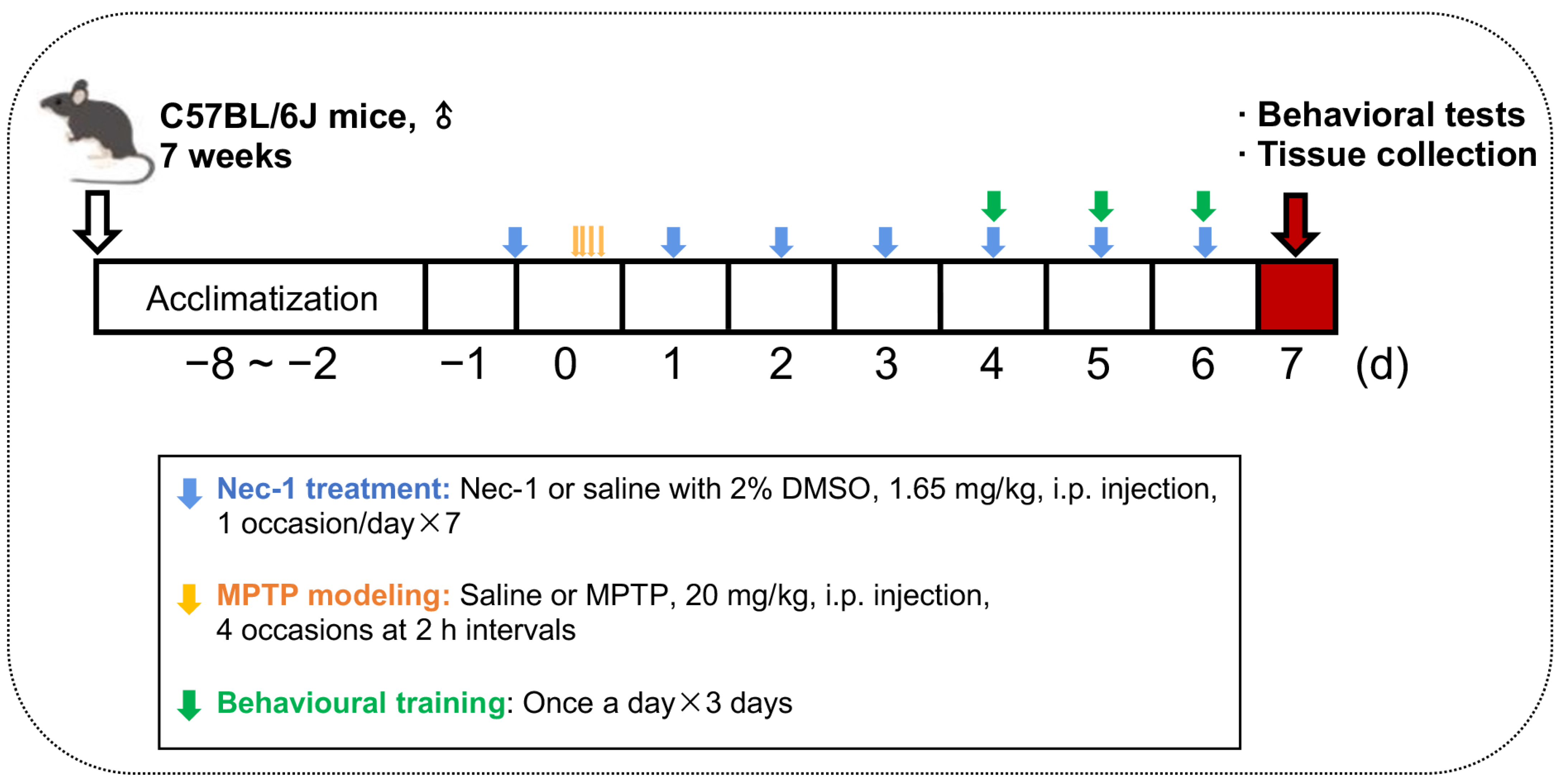 Brainsci 13 00733 g001